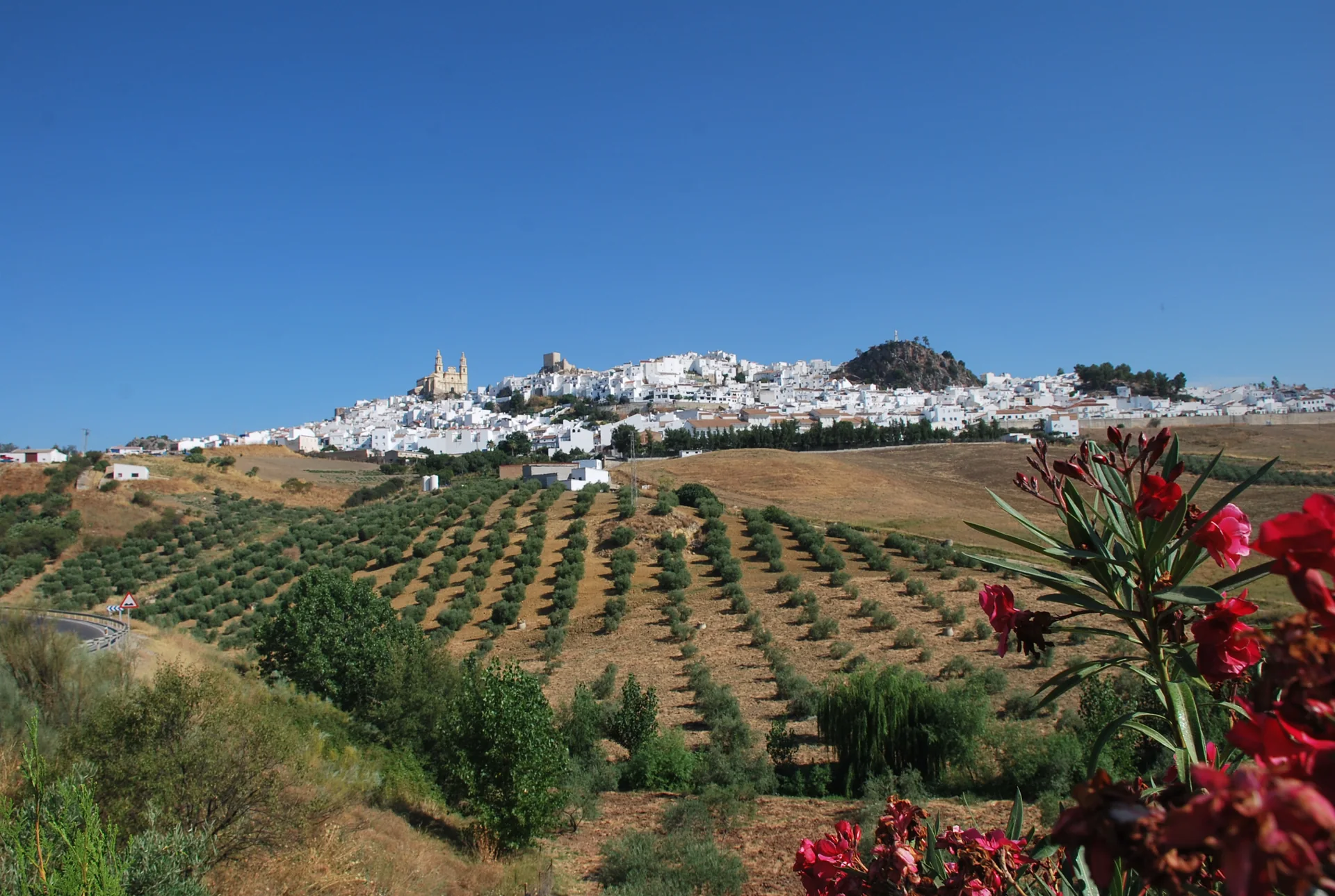 Olvera e Serra de Cádiz