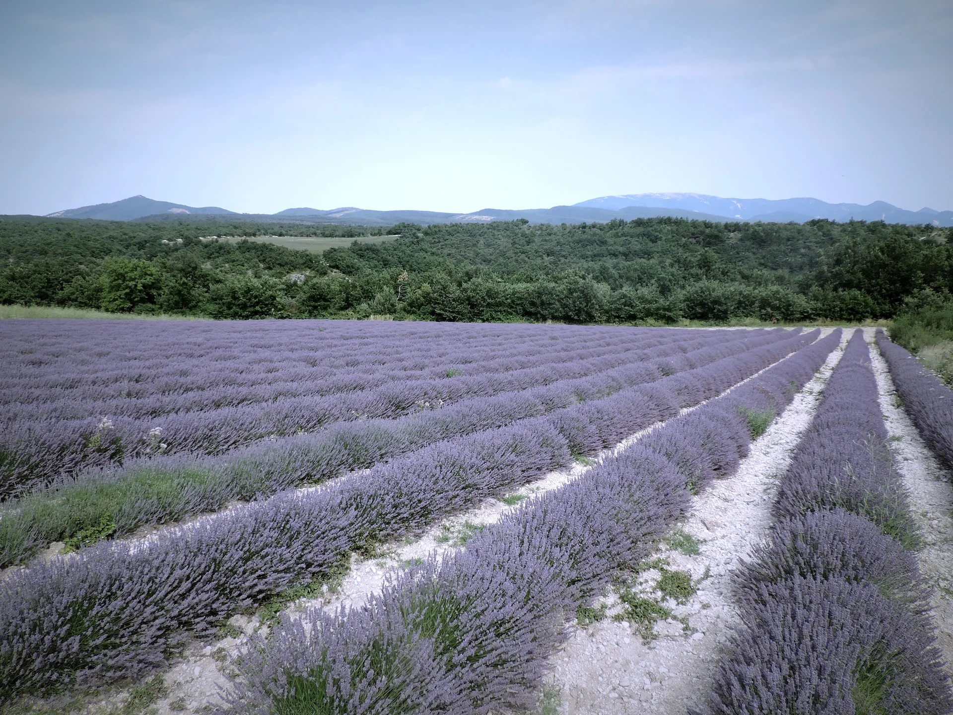 Provença, França