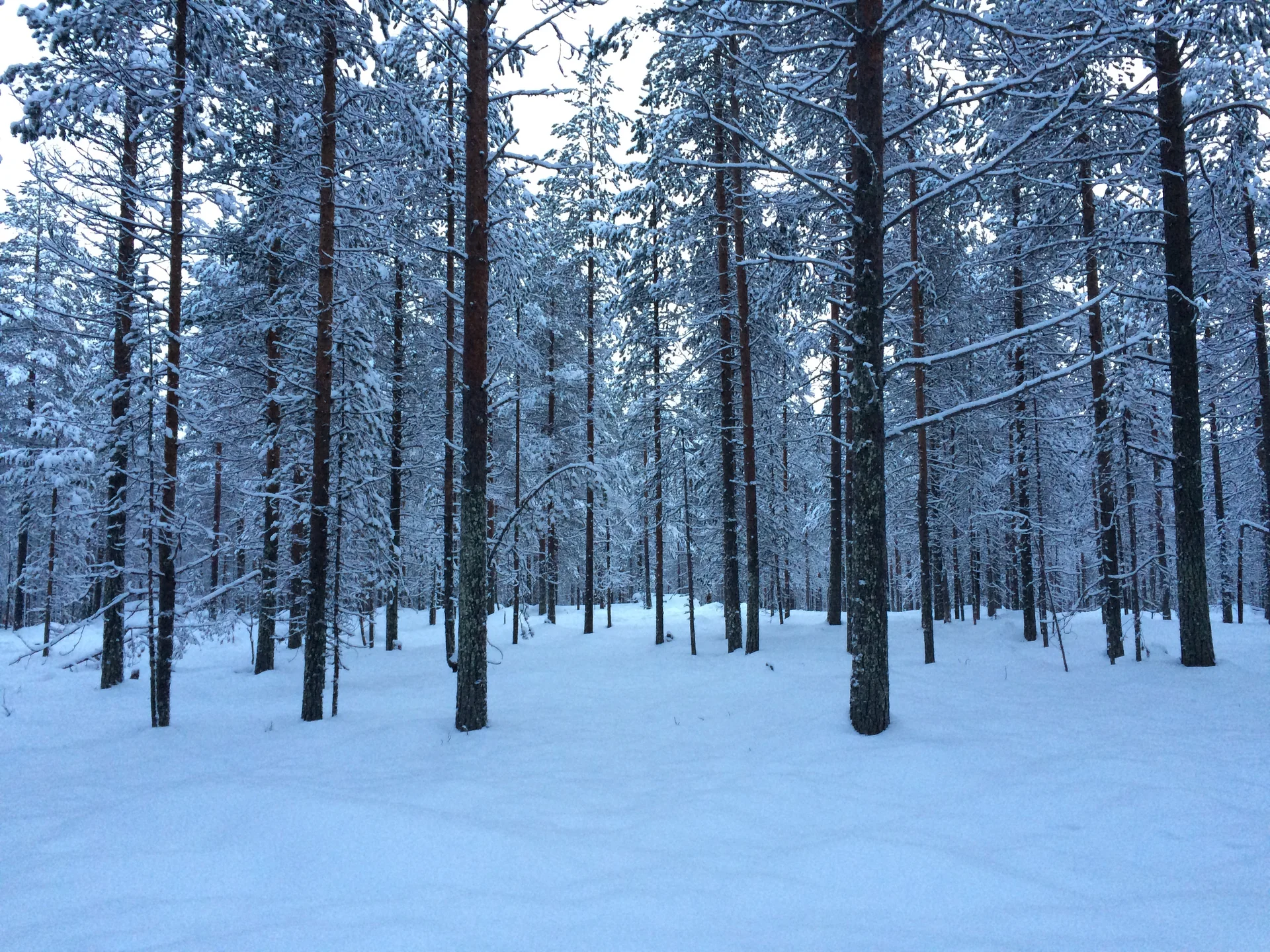 Rovaniemi, Finlândia