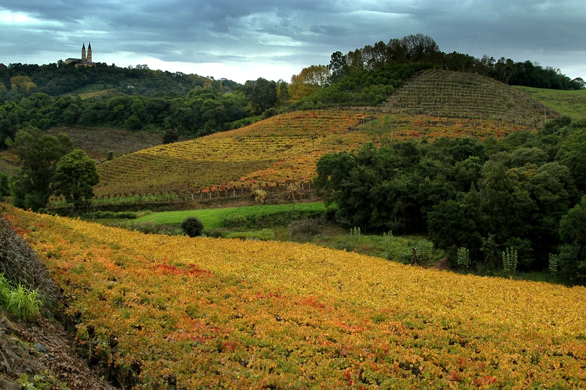 Vale dos Vinhedos