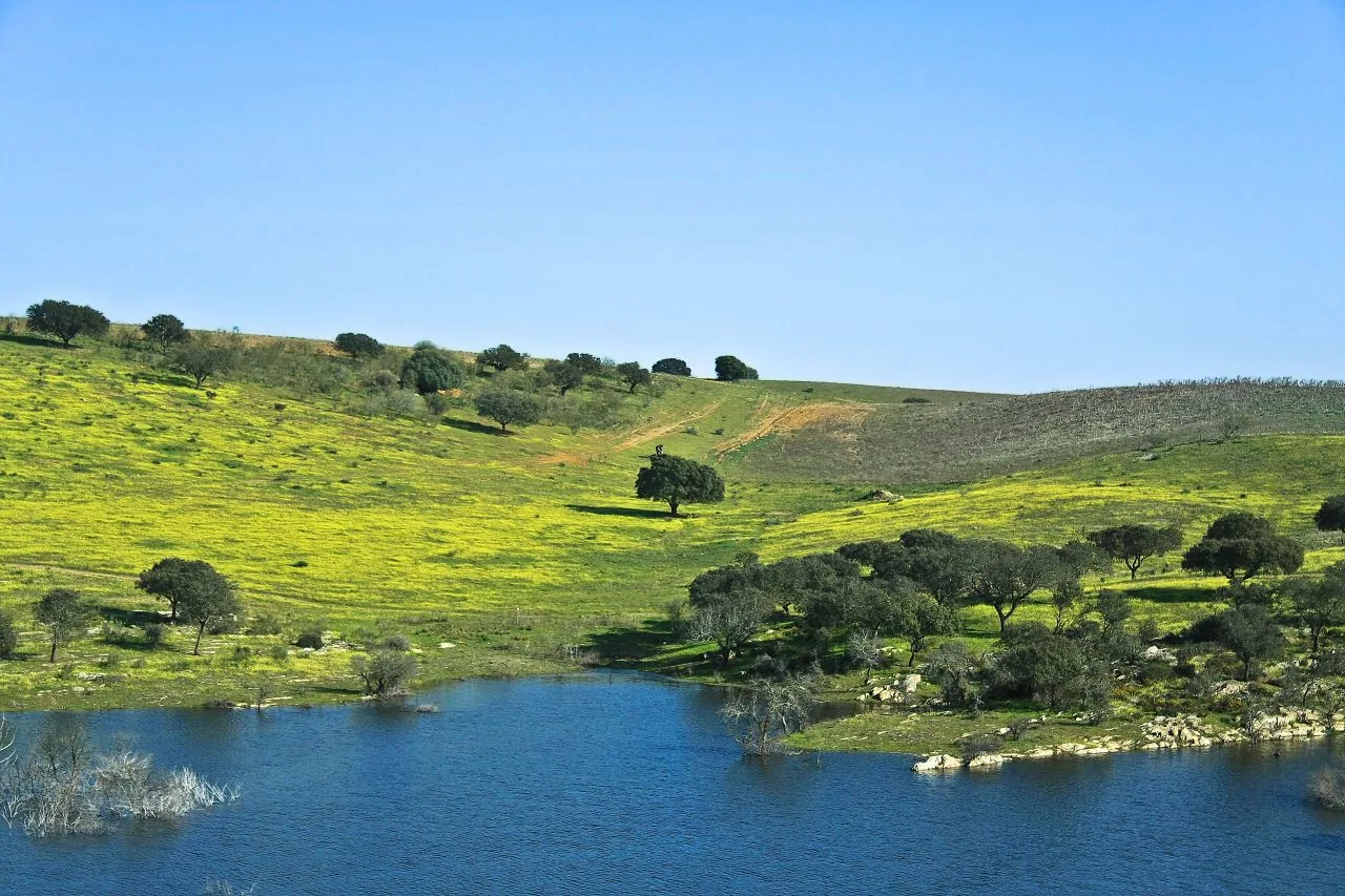 Águas do lago de Alqueva diante de encostas verdes com azinheiras, na paisagem de fronteira entre Portugal e a Extremadura espanhola.