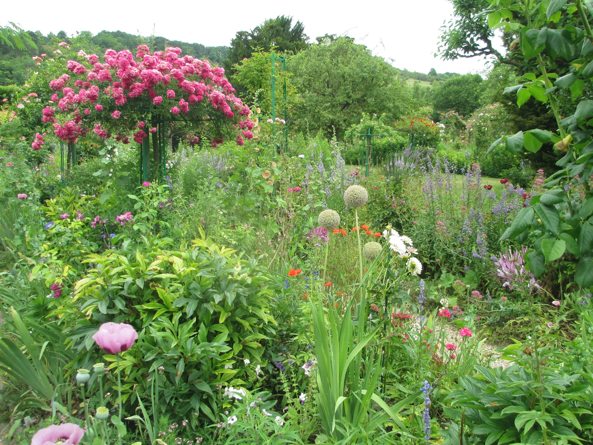 Flores e vegetação no jardim de Claude Monet, em Giverny.