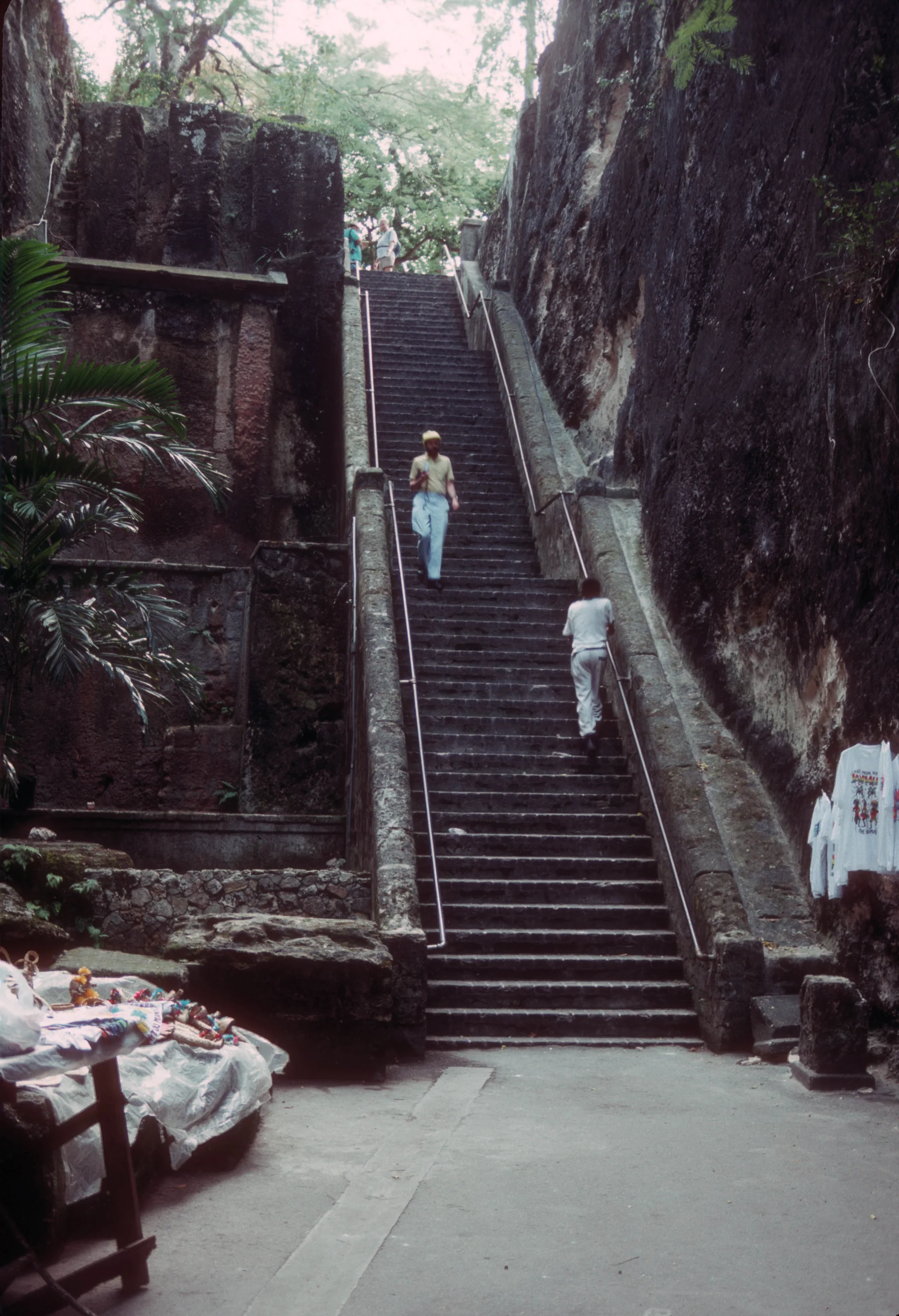 Escadaria da Queen's Staircase entre paredes de calcário e vegetação em Nassau
