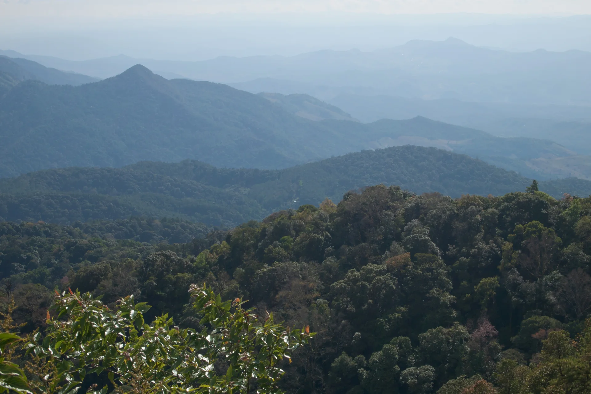 Vista de montanhas e vale no Parque Nacional Doi Inthanon, no norte da Tailândia.