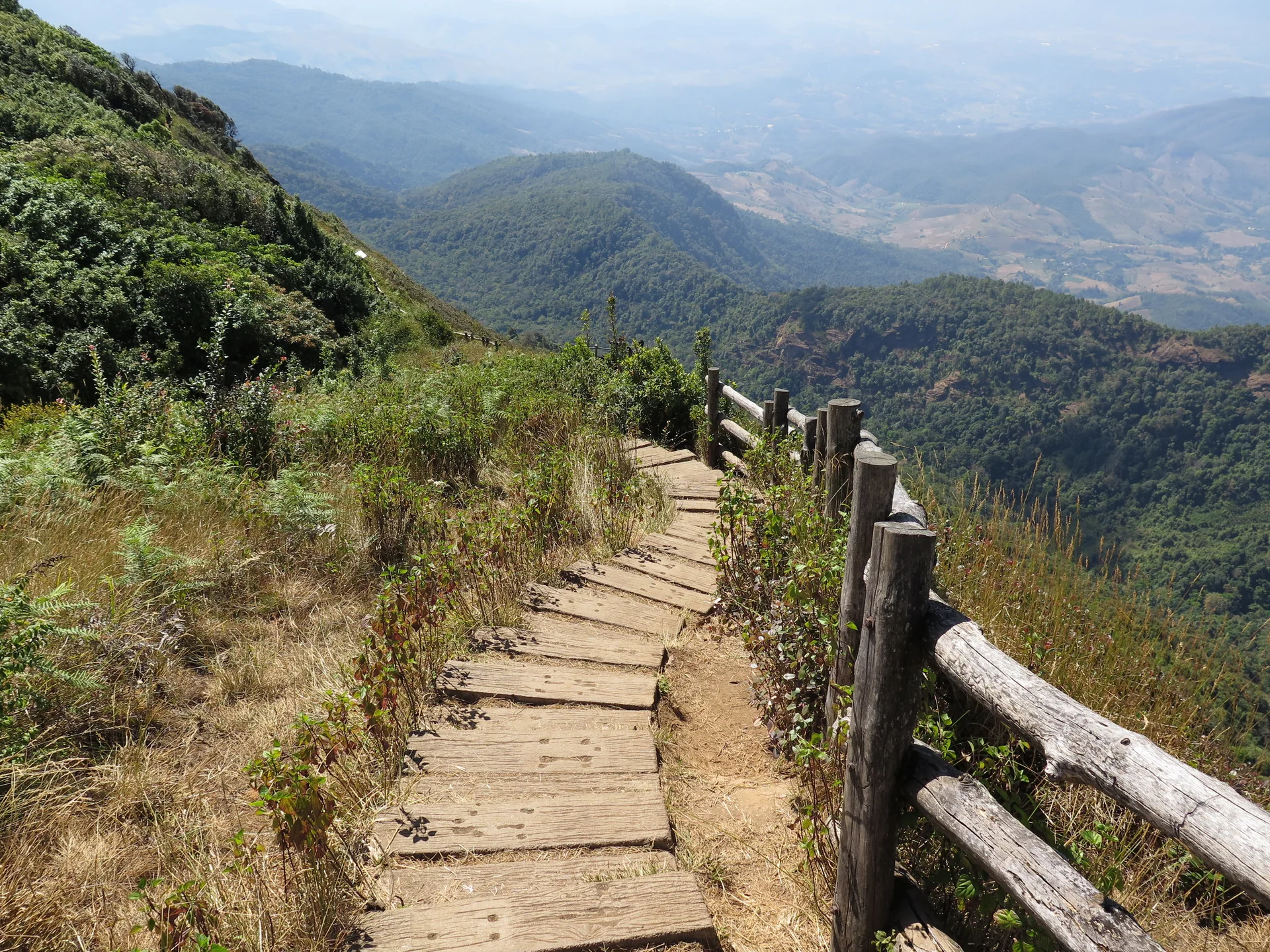 Escadaria de madeira entre vegetação na trilha Kew Mae Pan, em Doi Inthanon.