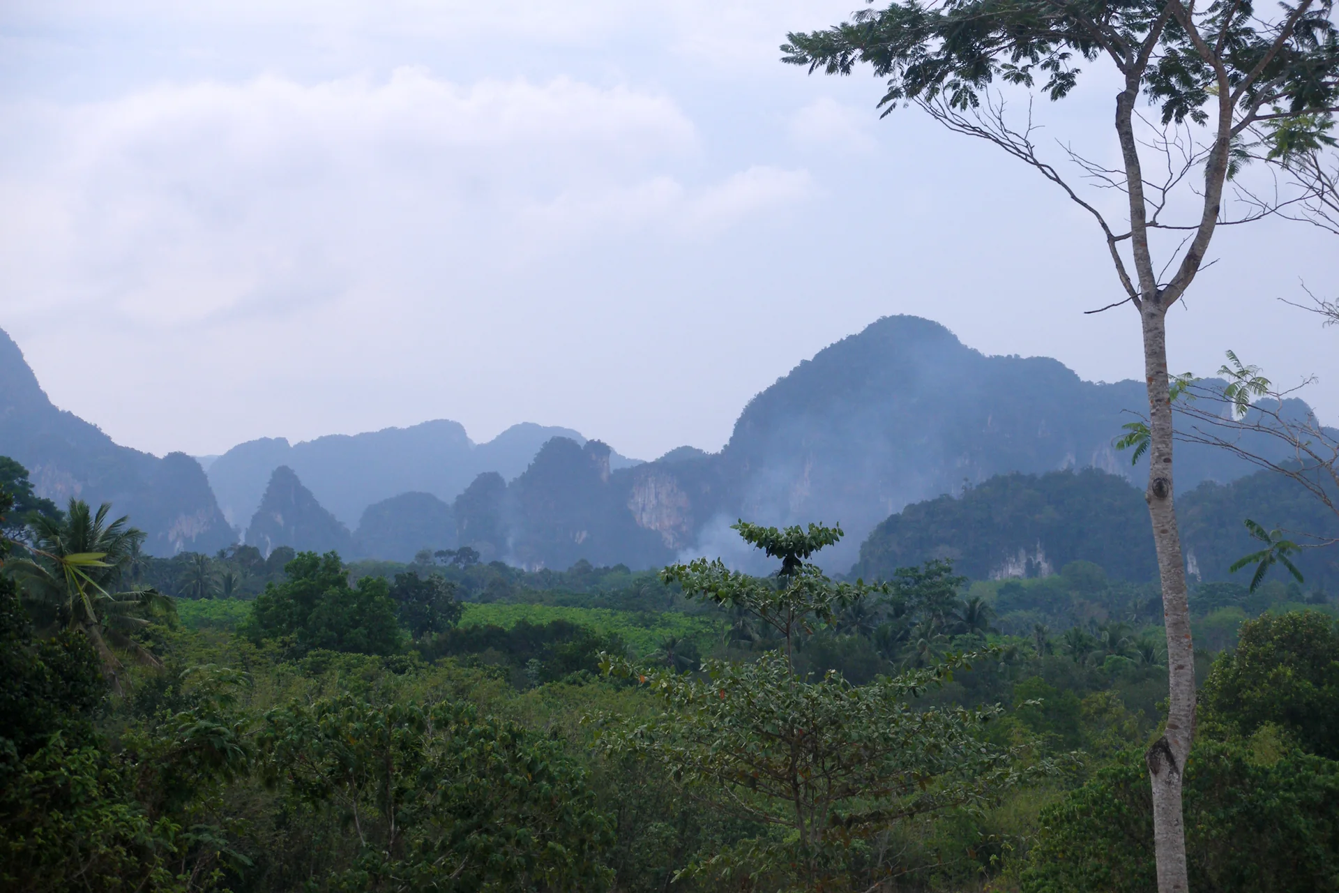 Formações de calcário cobertas por vegetação diante do mar em Krabi, Tailândia.