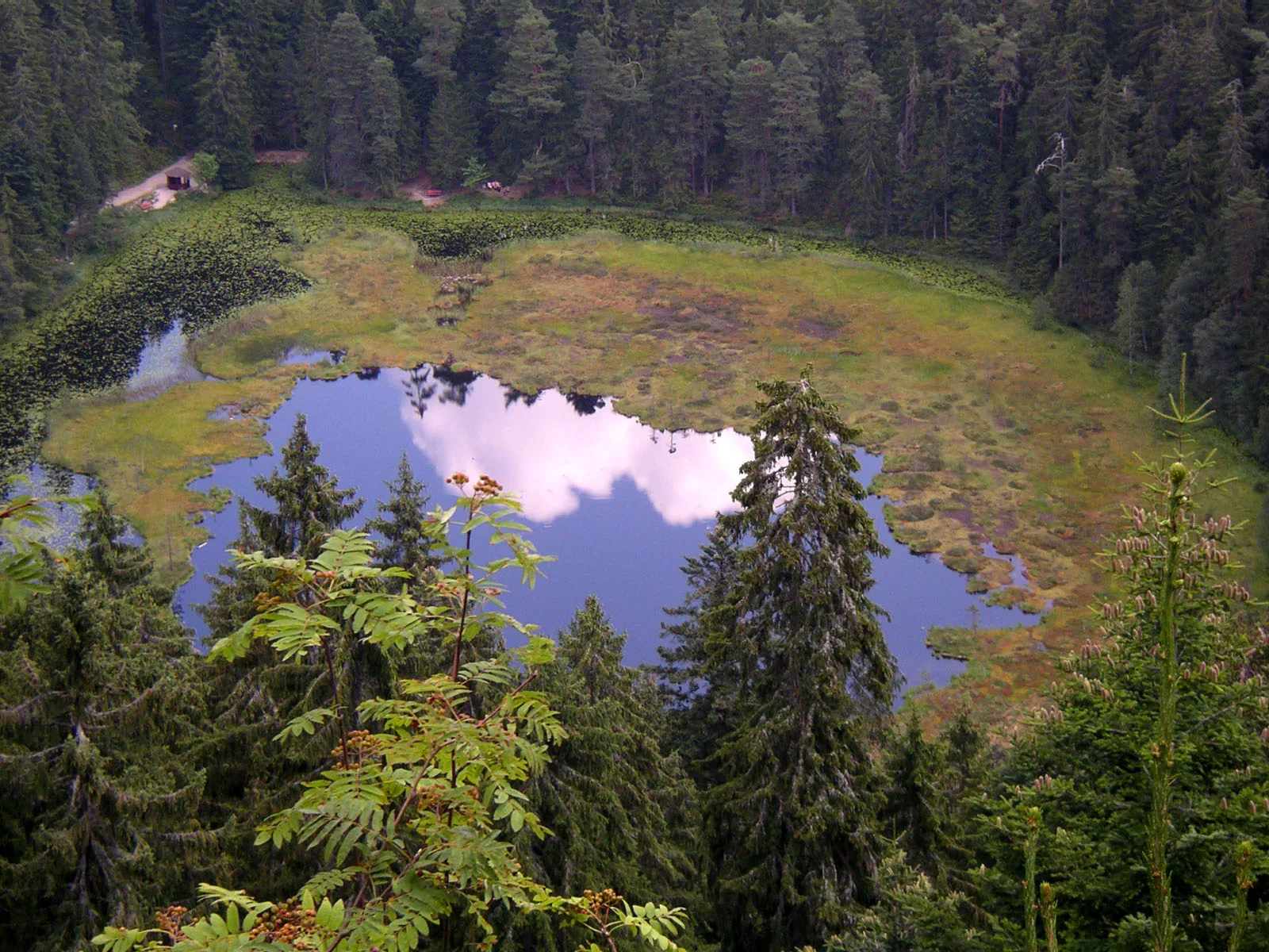 Lago Huzenbacher See cercado por floresta no norte da Floresta Negra.