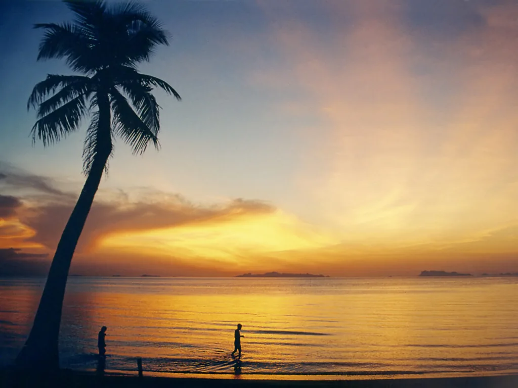 Palmeira e mar ao entardecer na praia de Lipa Noi, em Koh Samui.
