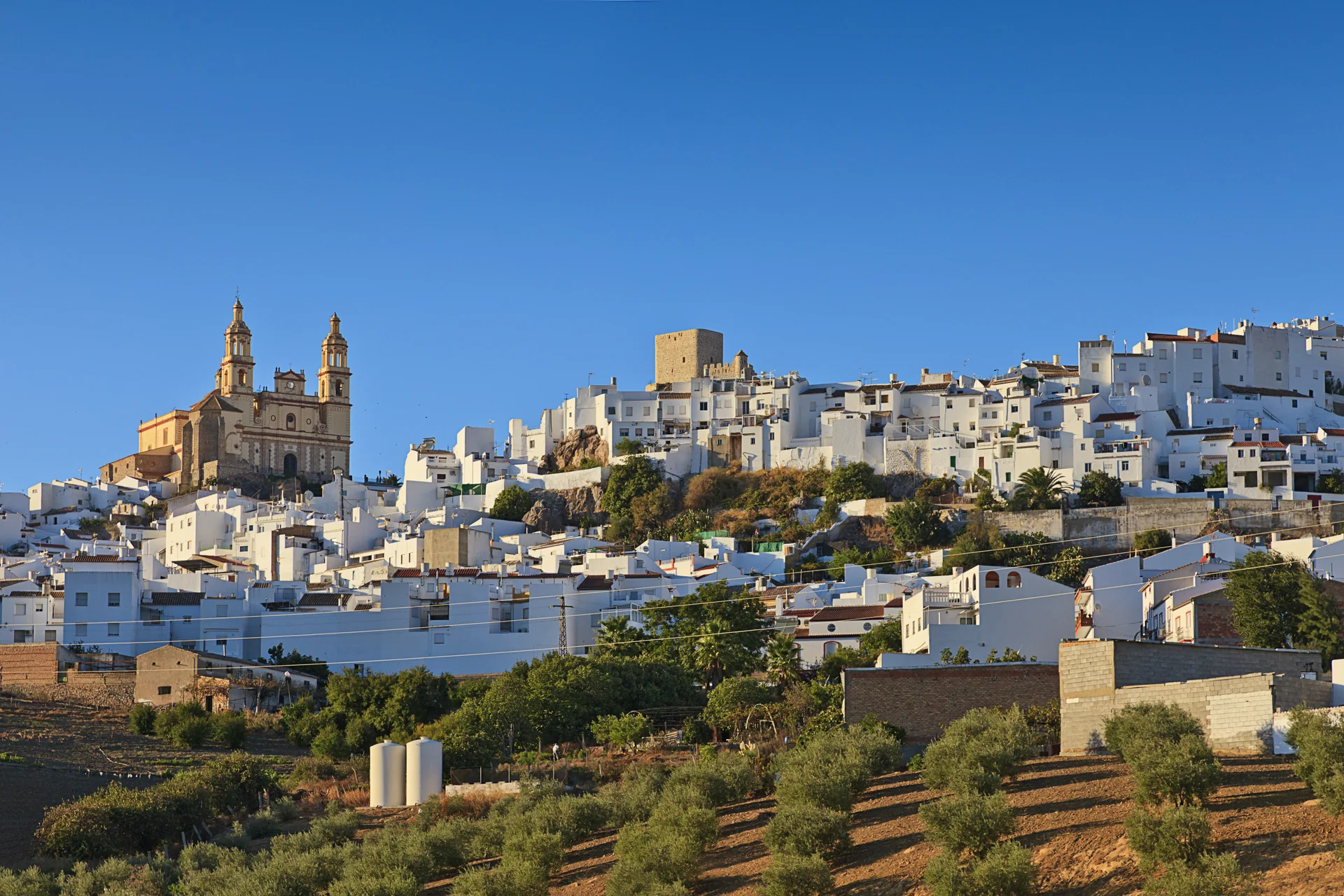 Vista de Olvera, em Cádiz, com a Igreja Paroquial de Nuestra Señora de la Encarnación, o castelo e o casario branco acima dos olivais.