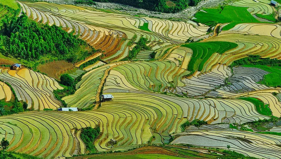 Terraços de arroz parcialmente alagados no passo Khau Phạ, em Mù Cang Chải, vistos do alto.