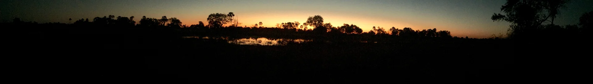 Panorama de vegetação e água na Reserva de Caça de Moremi ao entardecer