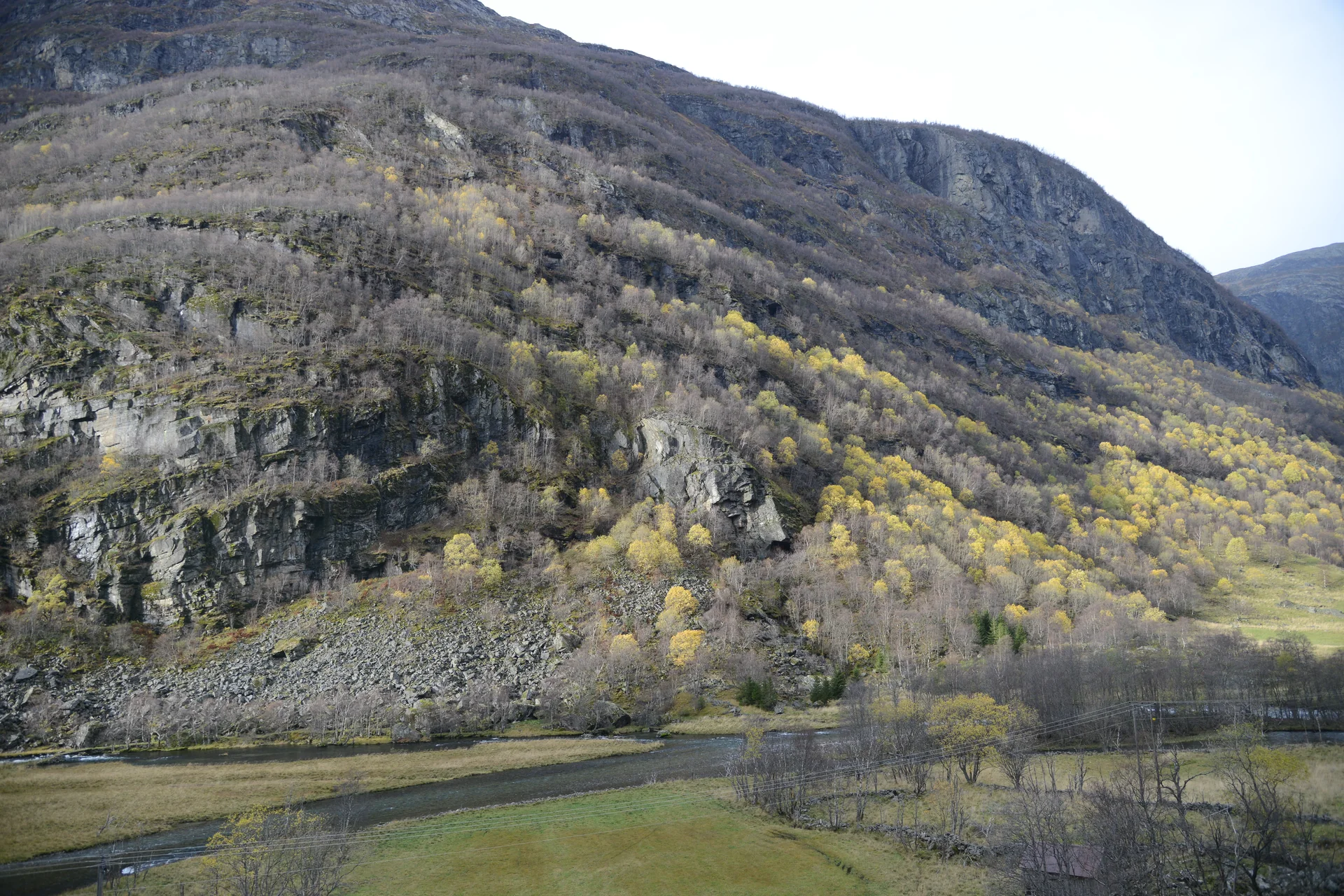 Trem da Flåmsbana avança pelo vale de Flåmsdalen, entre encostas verdes e montanhas na Noruega.