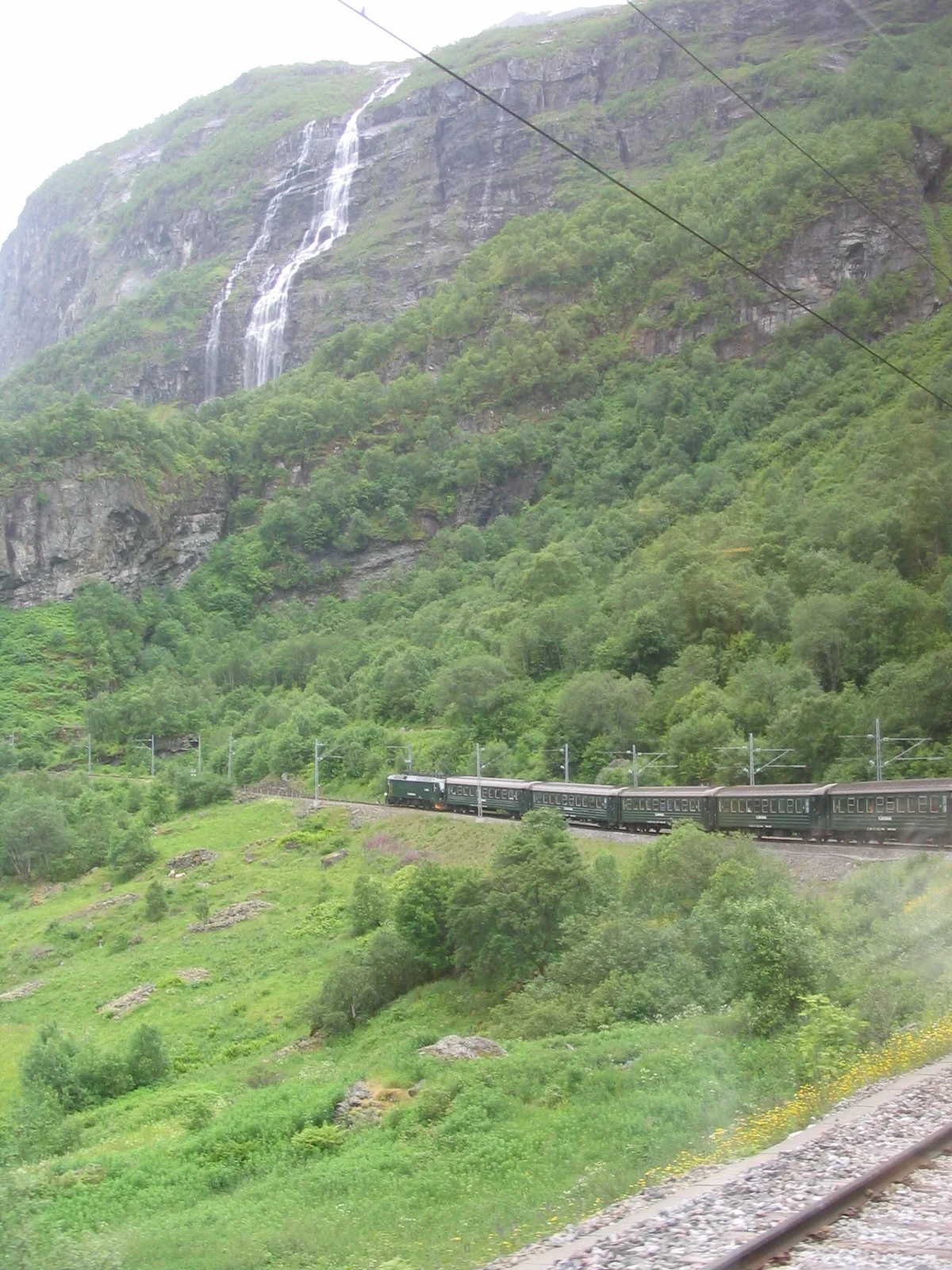 Trem da Flåmsbana cruza a encosta verde do vale de Flåmsdalen sob céu nublado.