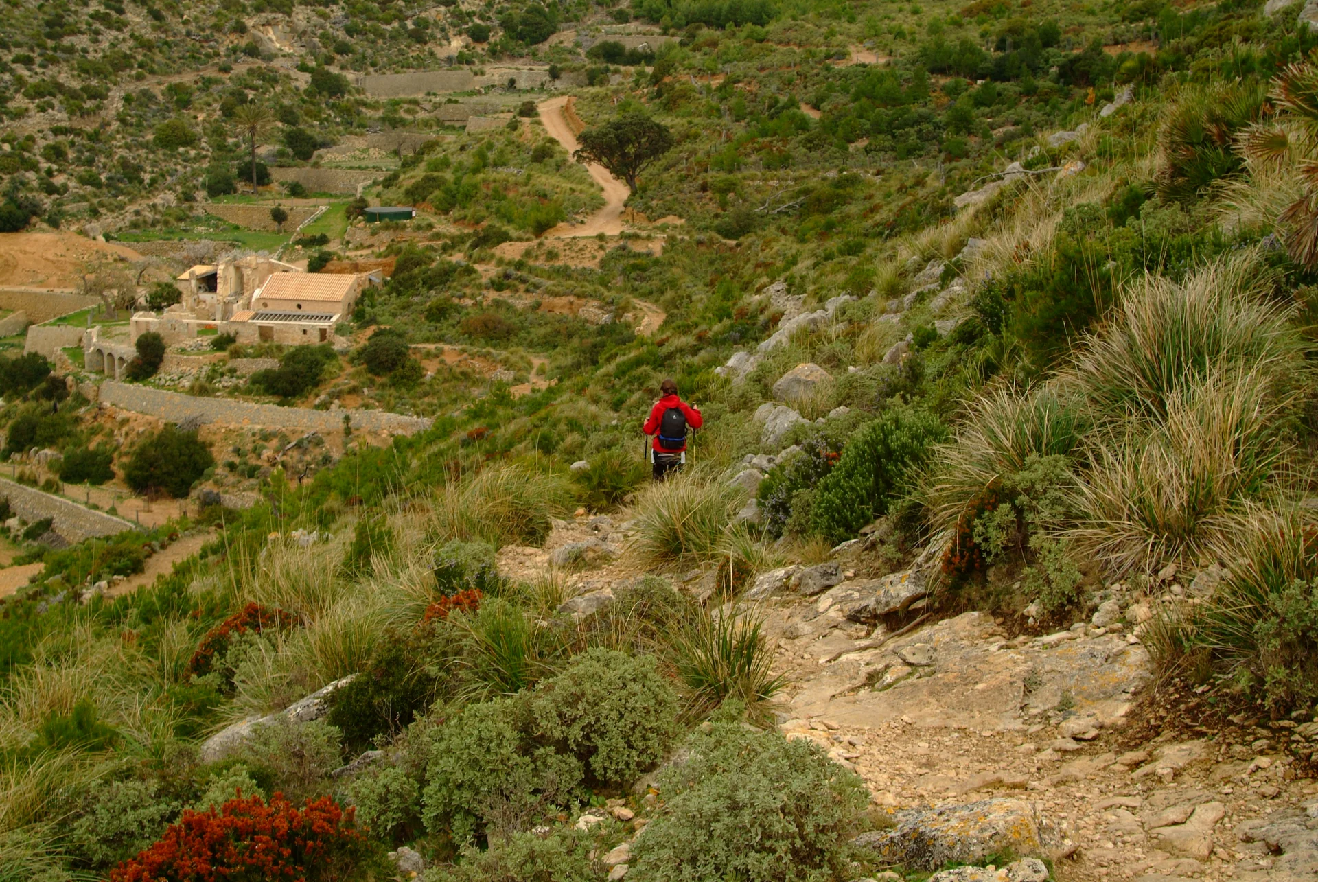 Caminhante em trecho de encosta da GR-221 acima das ruínas de La Trapa, na Serra de Tramuntana.
