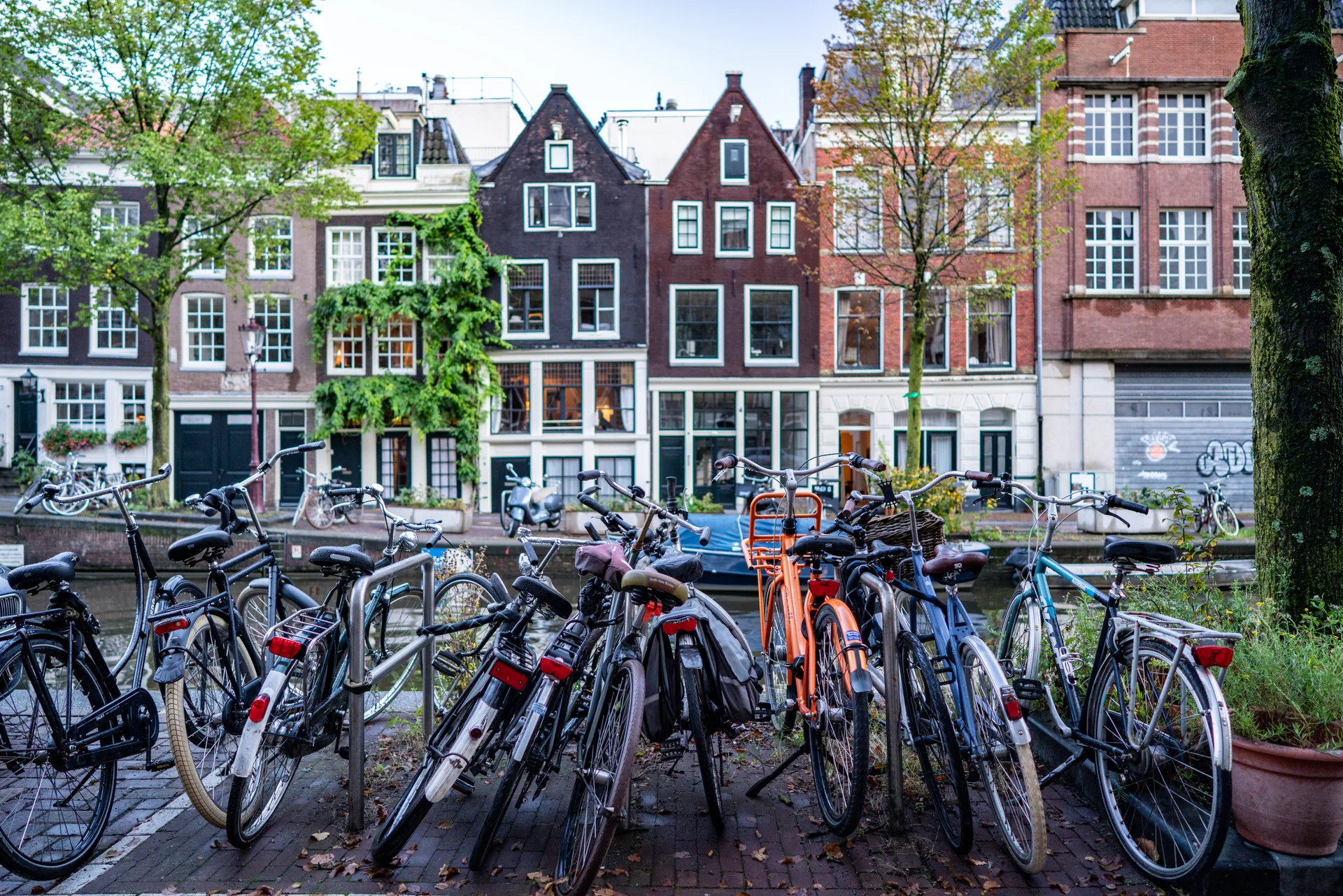 Bicicletas estacionadas à margem de um canal de Amsterdam, diante de casas estreitas e árvores verdes.
