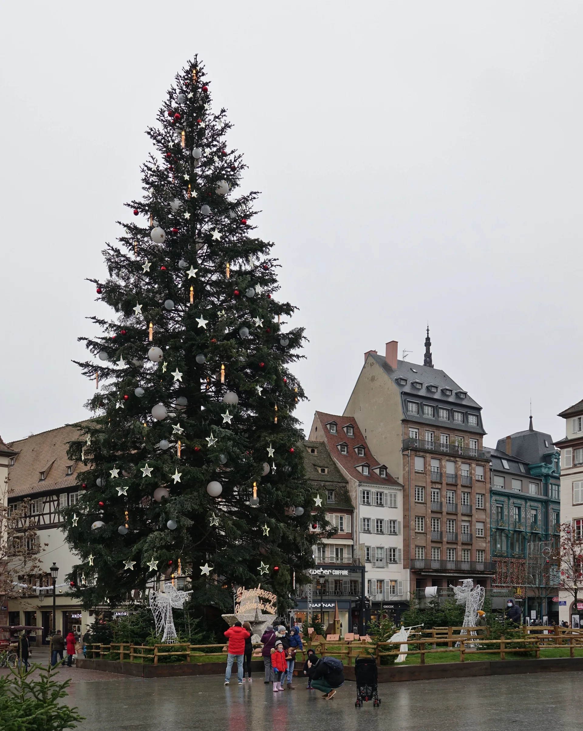 Grande árvore de Natal montada na Place Kléber, em Estrasburgo, vista durante o dia.