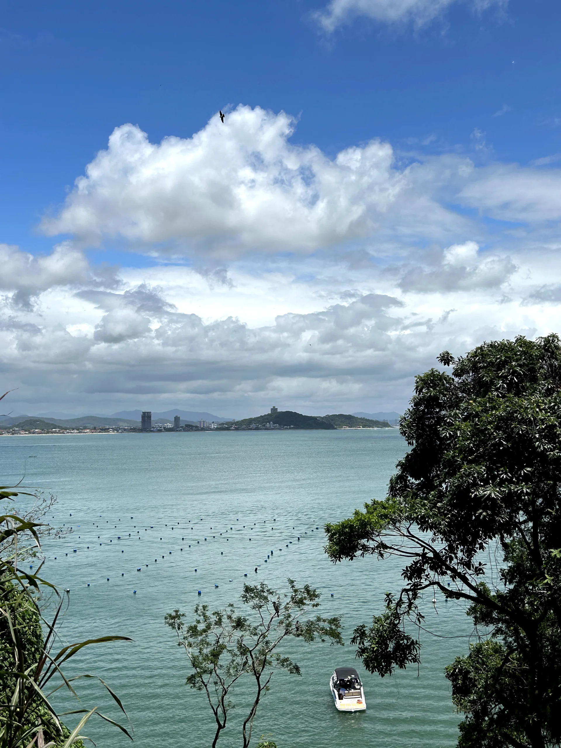 Costão rochoso e vegetação junto à Praia da Paciência, em Penha, Santa Catarina