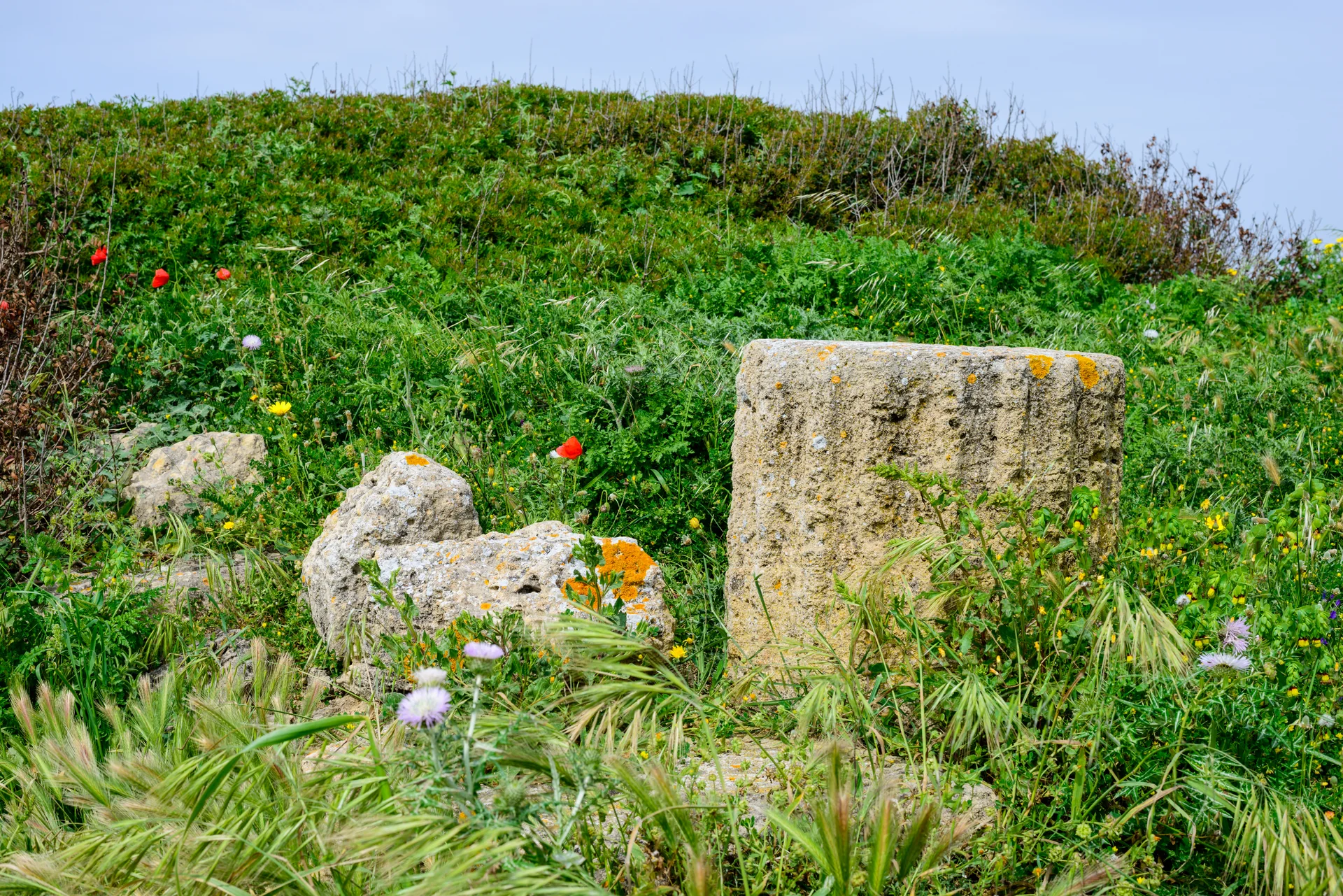 Ruínas de pedra de Tharros diante da paisagem costeira do Sinis