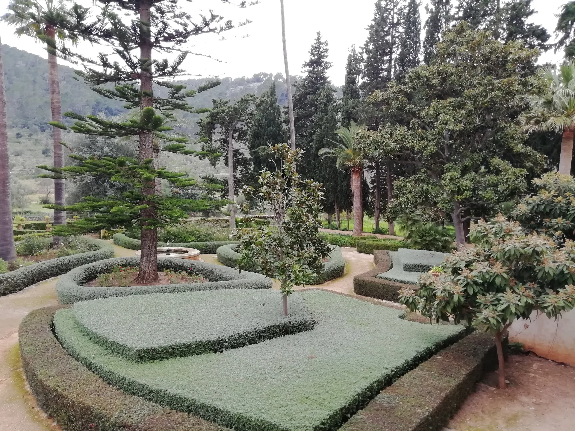 Jardins geométricos da Finca Raixa, em Bunyola, com palmeiras e a montanha ao fundo.