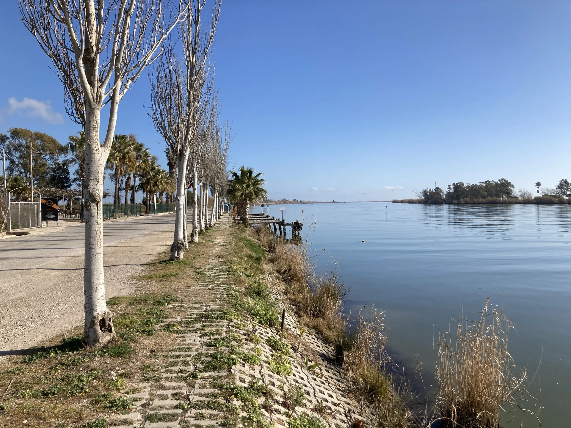 Margem arborizada do rio Ebro no Delta, perto de Riumar, sob céu azul.