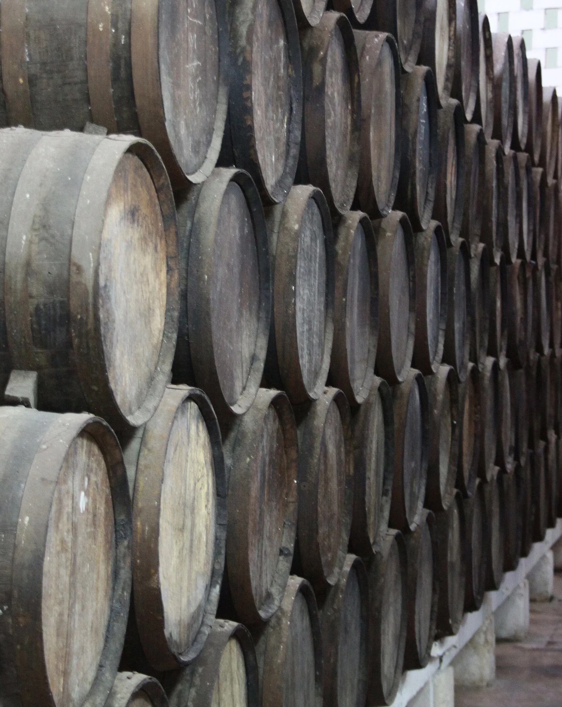 Barris de rum alinhados em uma área de envelhecimento em Havana, Cuba.