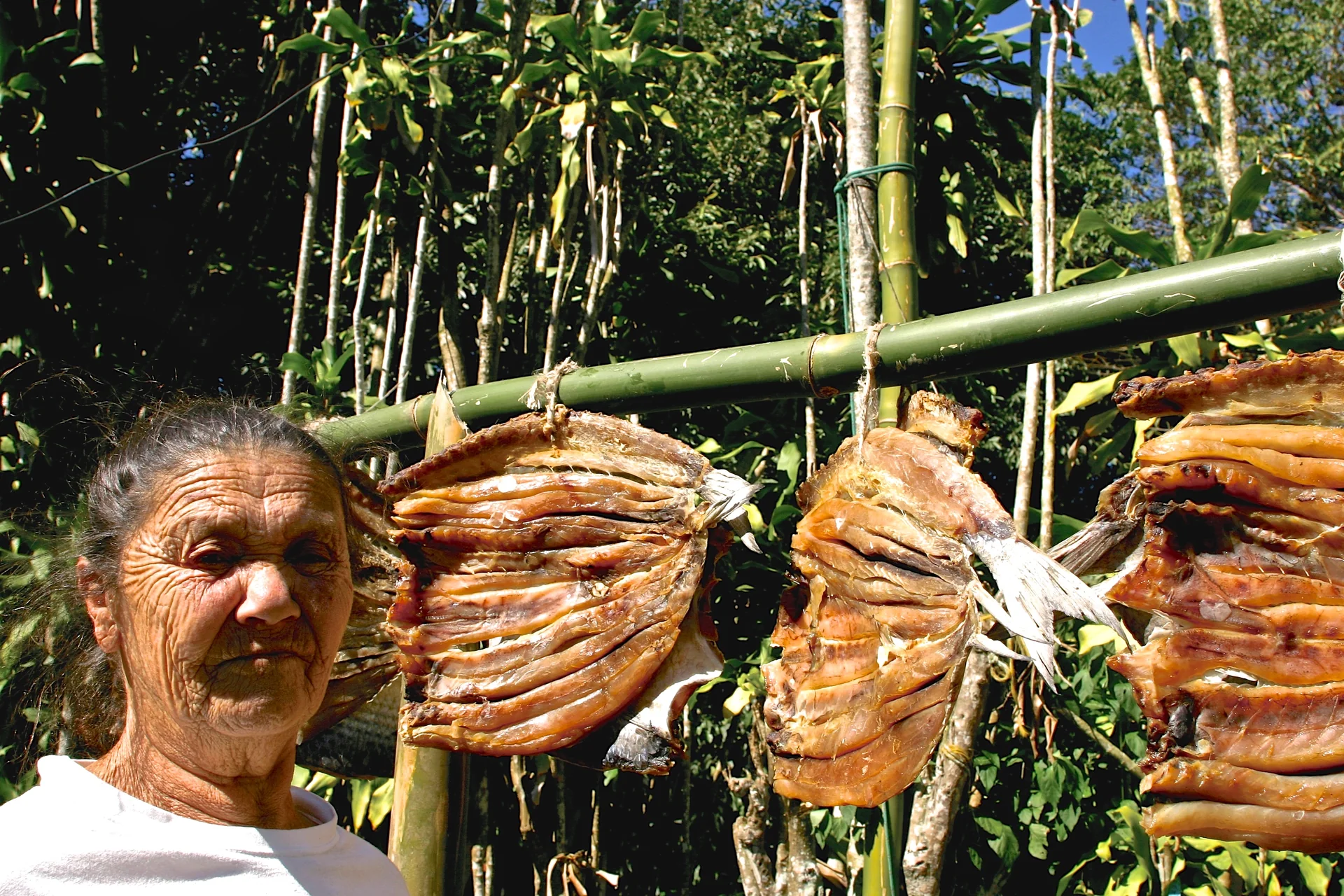 Tainhas abertas e postas para secar em Ilhabela.