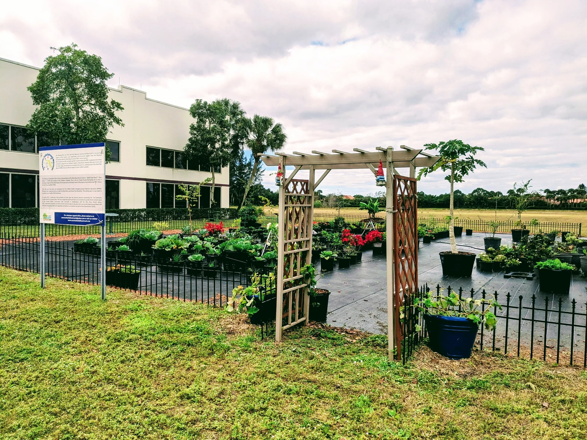 Canteiro de microfazenda comunitária em Boca Raton, Palm Beach County, com cultivo de hortaliças em luz natural.