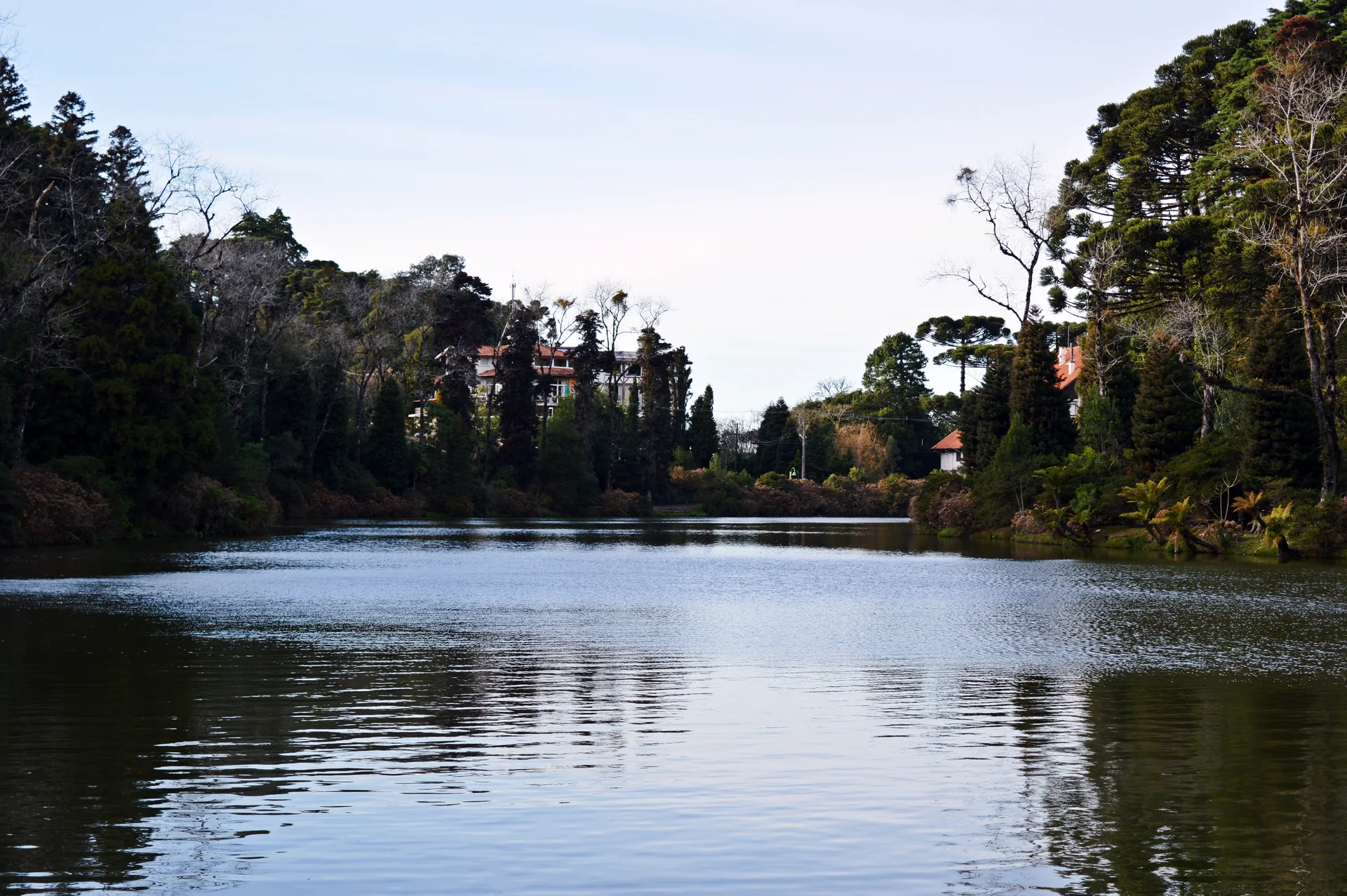 Vista do Lago Negro em Gramado, com água em primeiro plano, vegetação e araucárias nas margens sob luz natural.