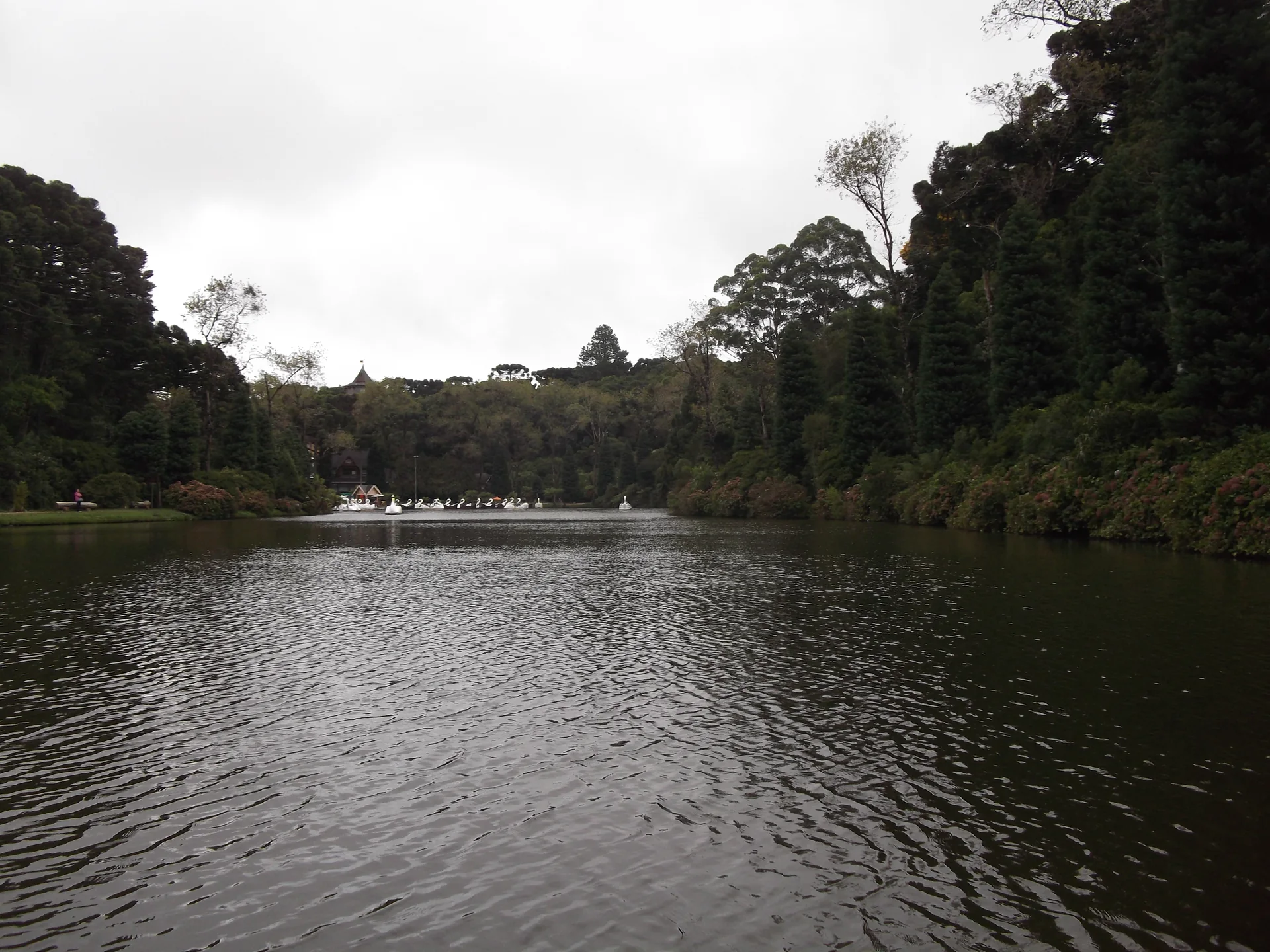Lago Negro em Gramado visto de uma margem, com vegetação escura, água e céu nublado.