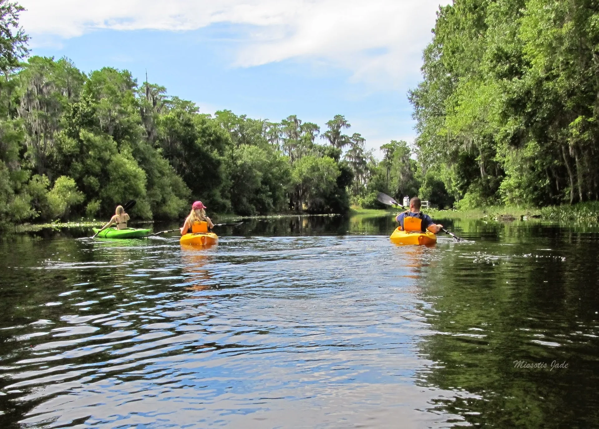 Três pessoas remam caiaques em água calma de Shingle Creek, em Kissimmee, todas com colete salva-vidas visível.
