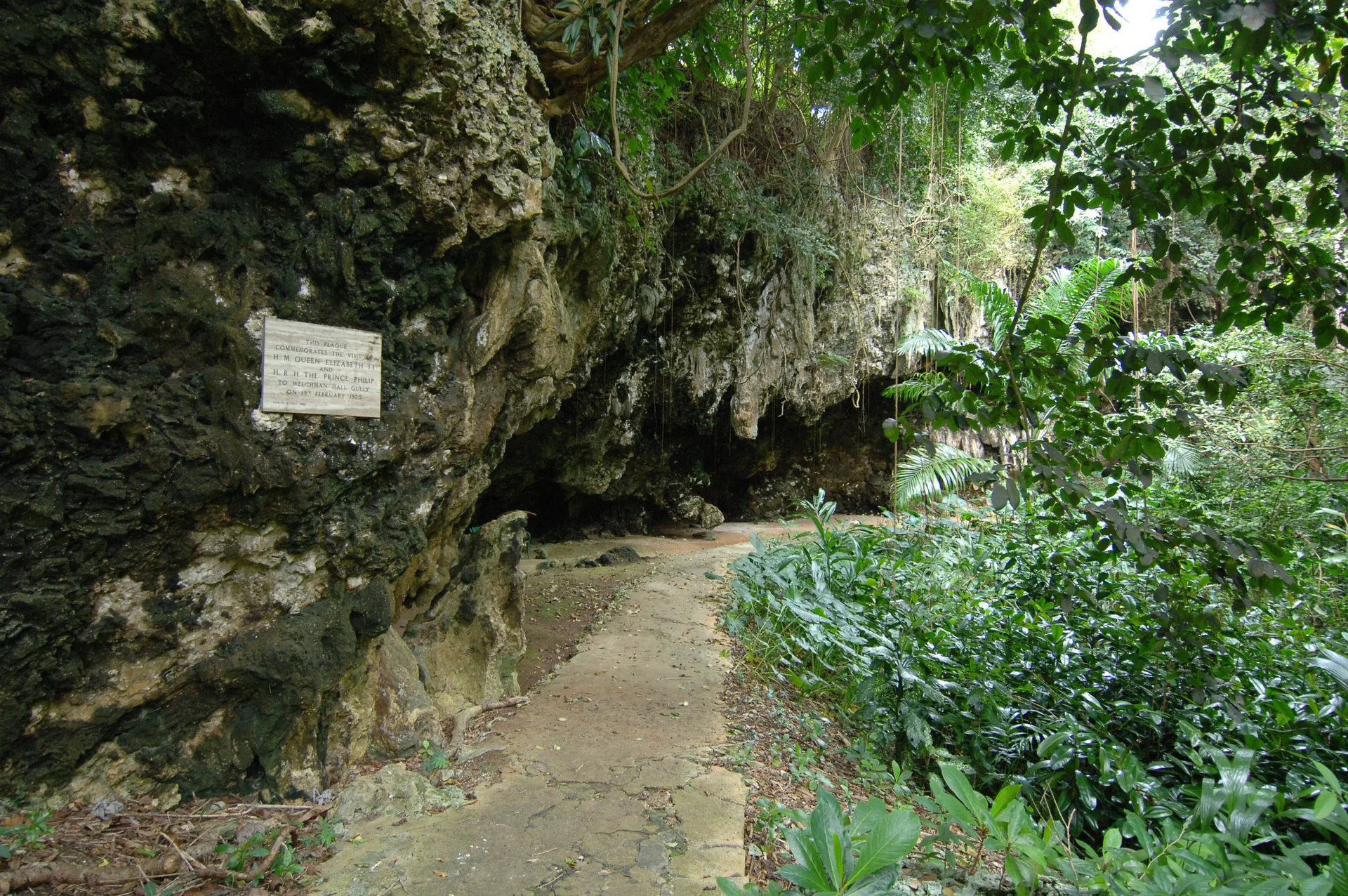 Caminho entre vegetação tropical e paredes de calcário em Welchman Hall Gully, Barbados.