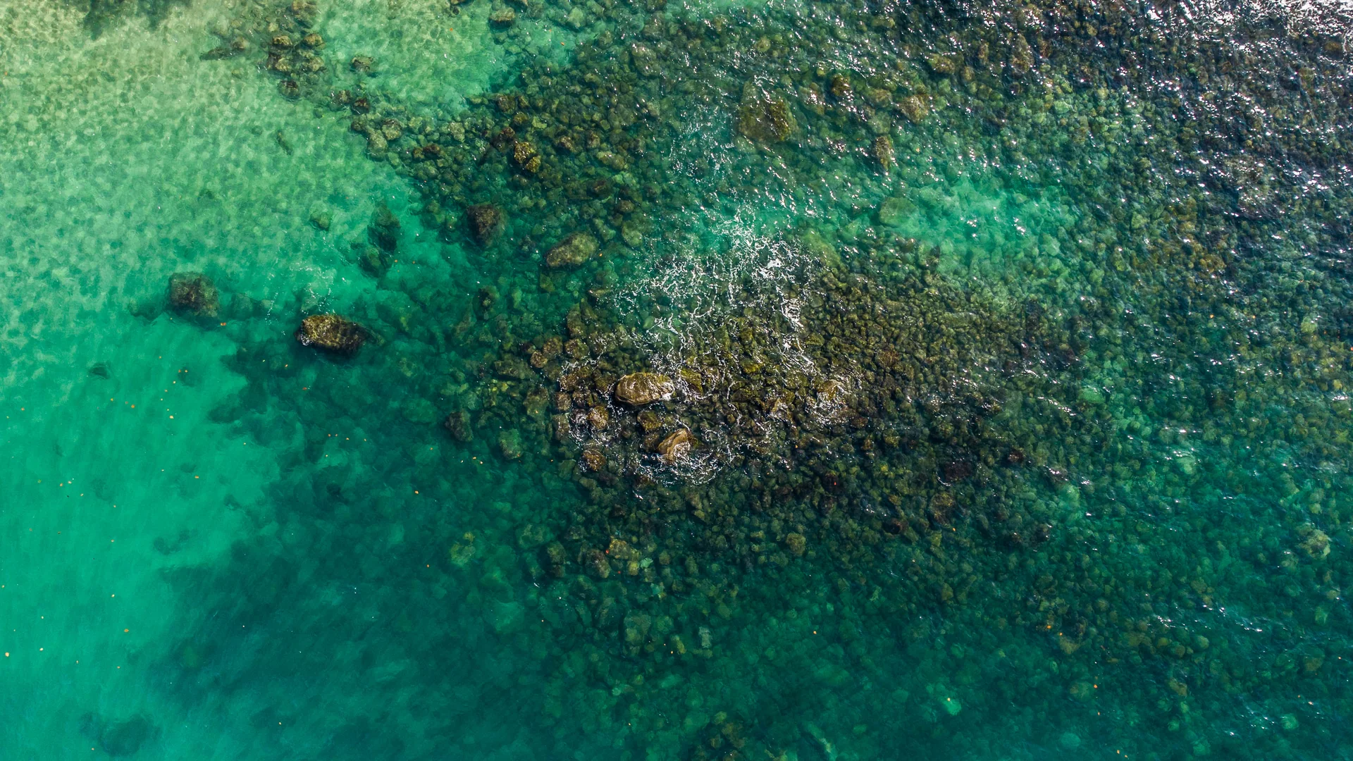 Vista aérea do costão rochoso da Praia do Pacuíba, no norte de Ilhabela, com mar e vegetação do Parque Estadual.