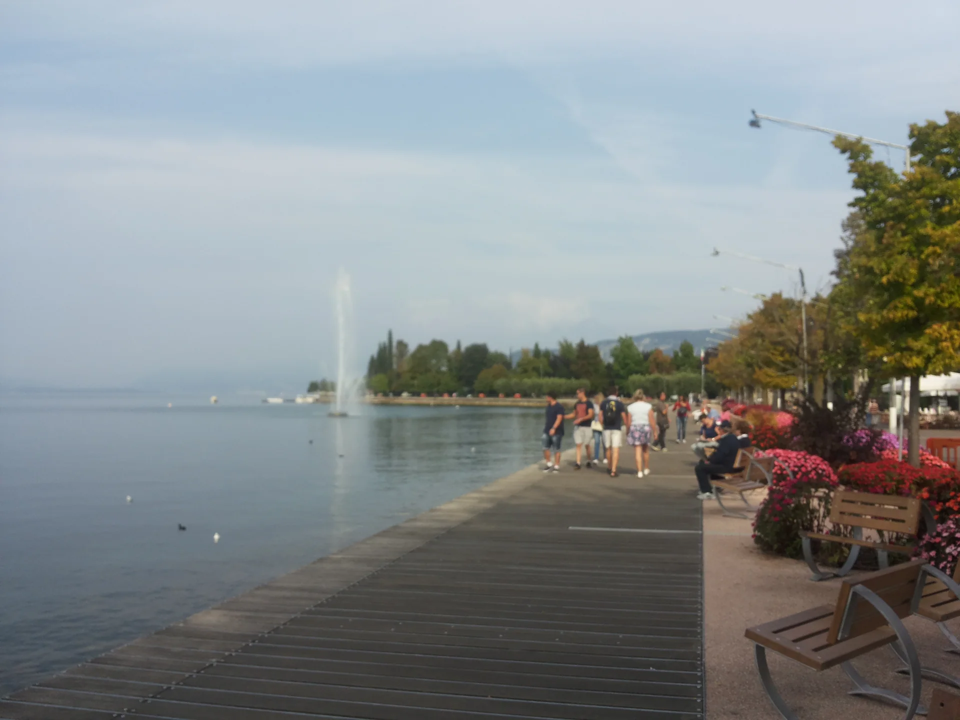 Calçadão à beira do Lago di Garda em Bardolino, com água, árvores e área urbana sob luz natural.