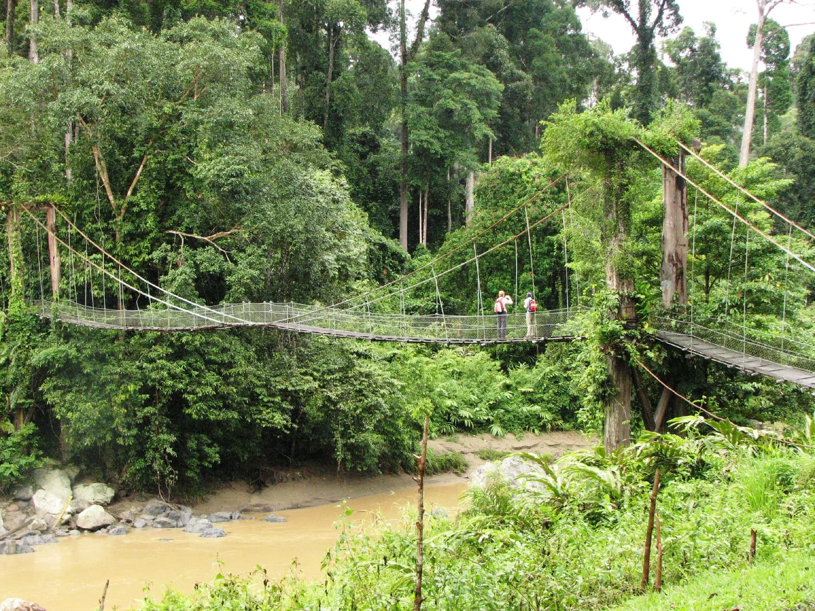 Dois visitantes atravessam uma ponte suspensa sobre um curso d’água na Área de Conservação de Danum Valley, Sabah.