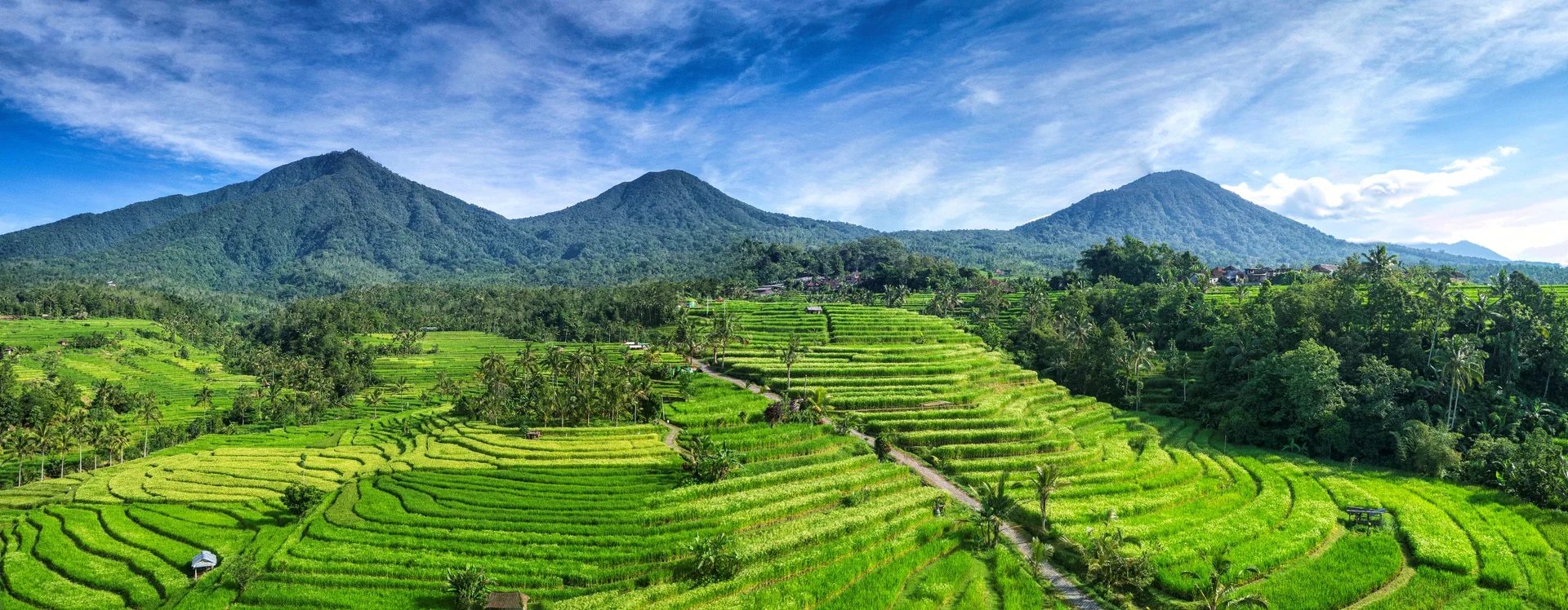 Panorama dos terraços de Jatiluwih diante do relevo montanhoso e da vegetação de Bali.