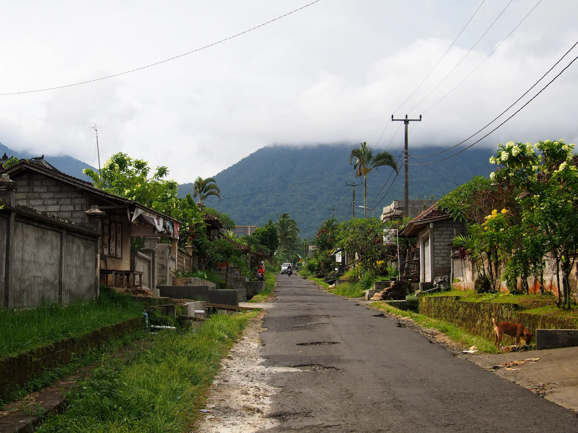 Estrada rural rumo a Jatiluwih com condições reais de piso e vegetação, sem alegação de acessibilidade universal.