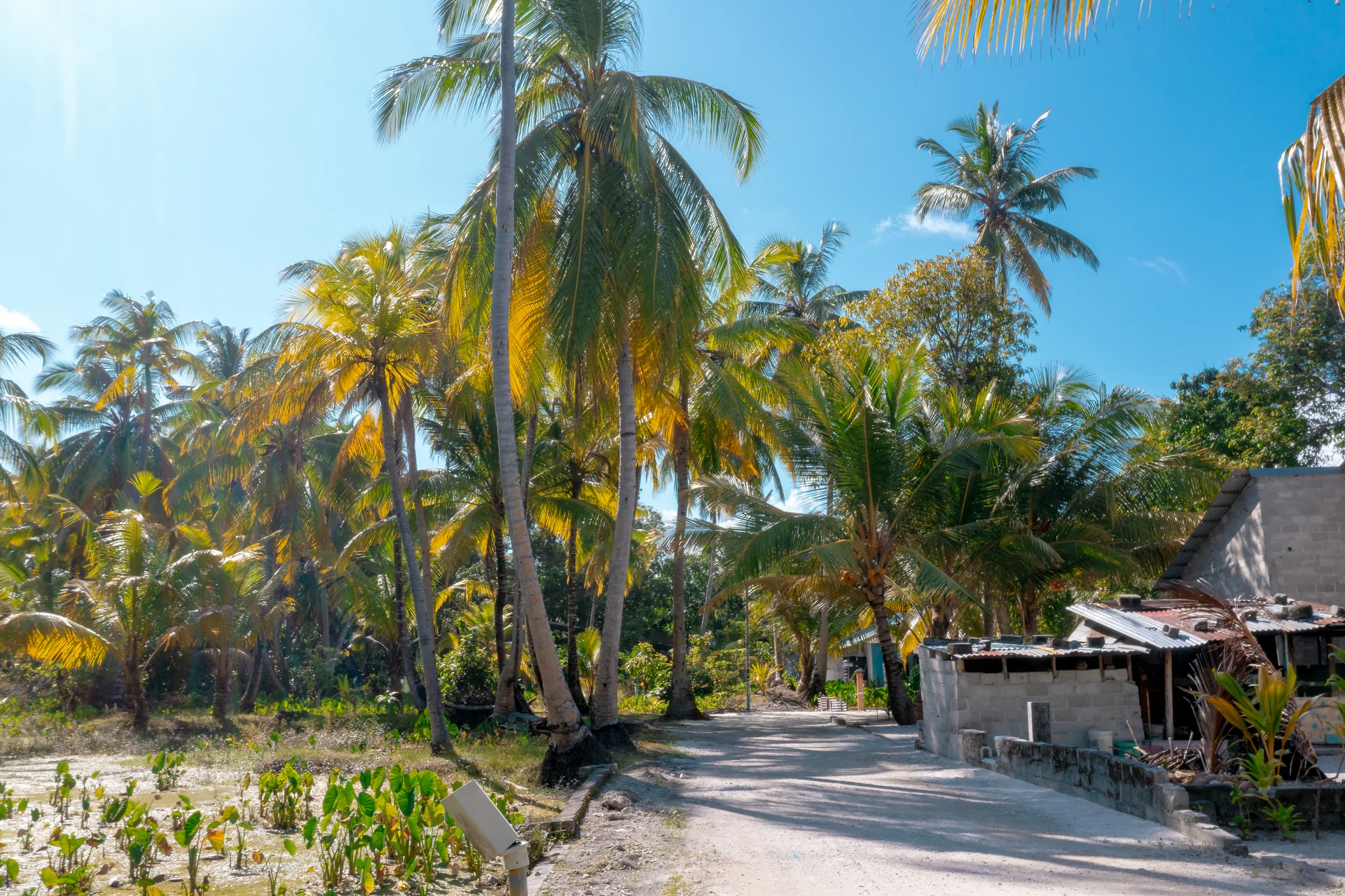 Rua estreita em Fuvahmulah, ilha habitada das Maldivas, entre casa baixa, vegetação e cultivo, sem pessoas identificáveis.