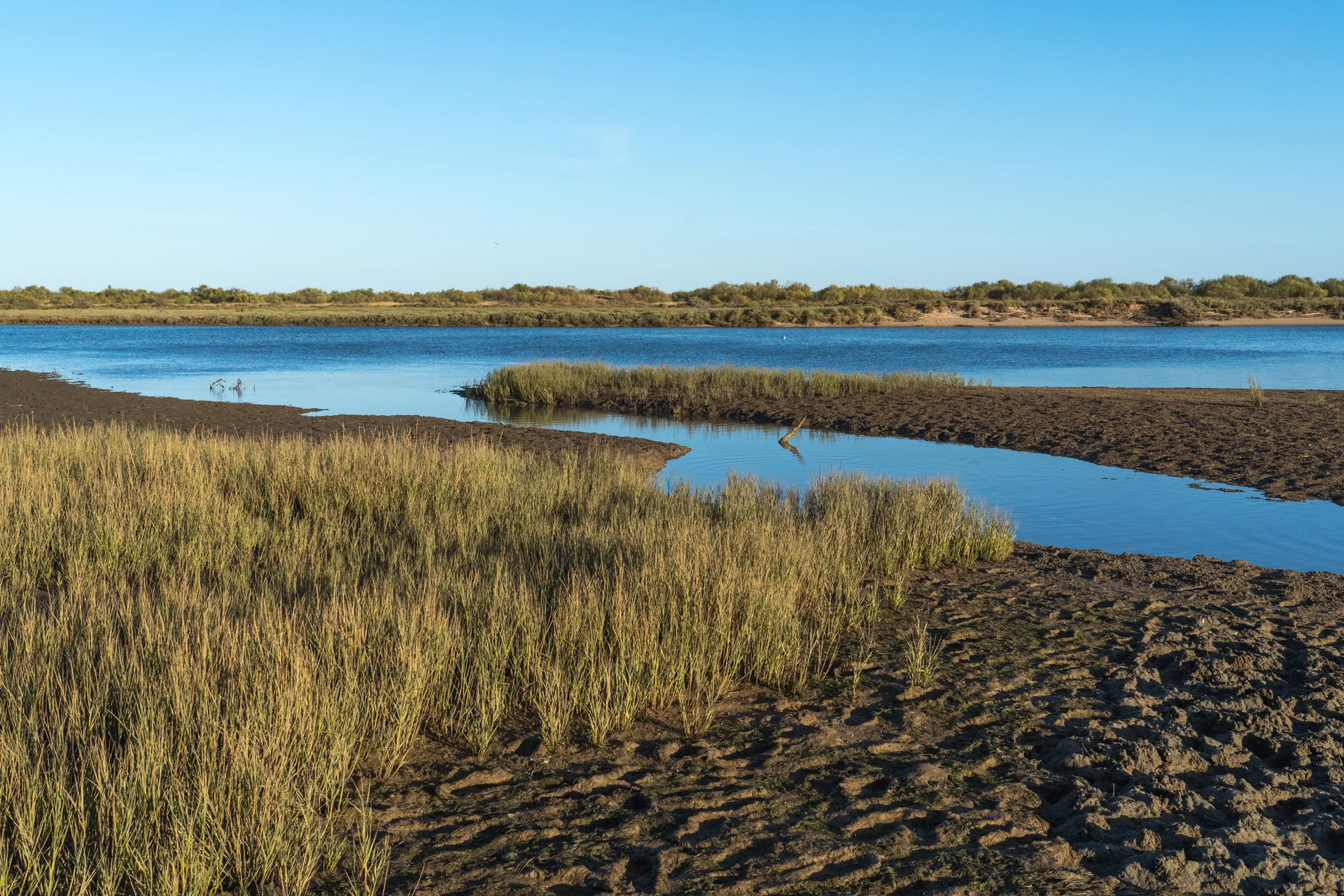 Sapais, canal de água e vegetação baixa na Ria Formosa perto de Cabanas, no leste do Algarve.