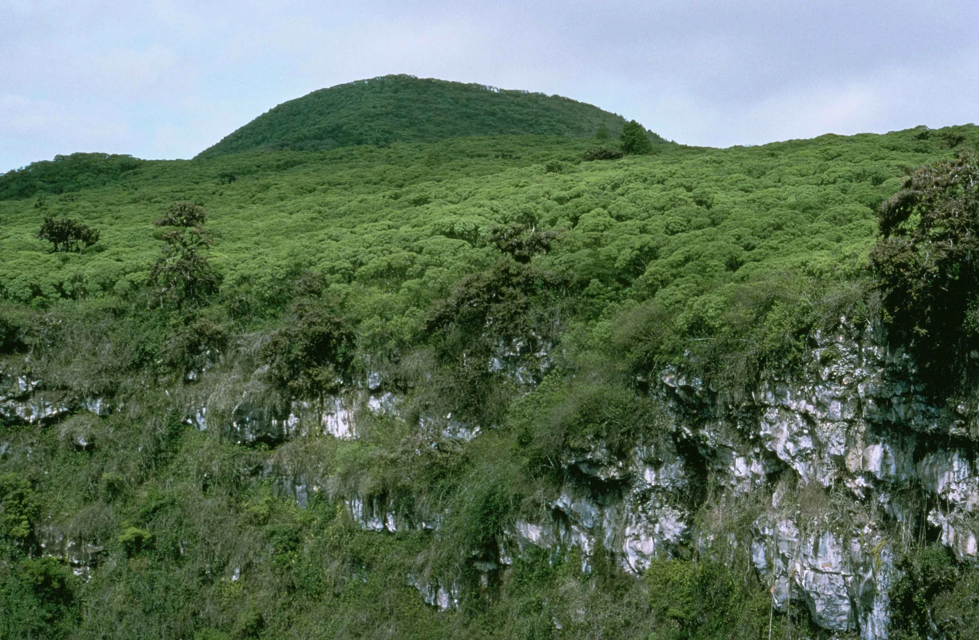 Colinas verdes e formação rochosa cobertas por vegetação em Galápagos, sem pessoas ou animais no enquadramento.