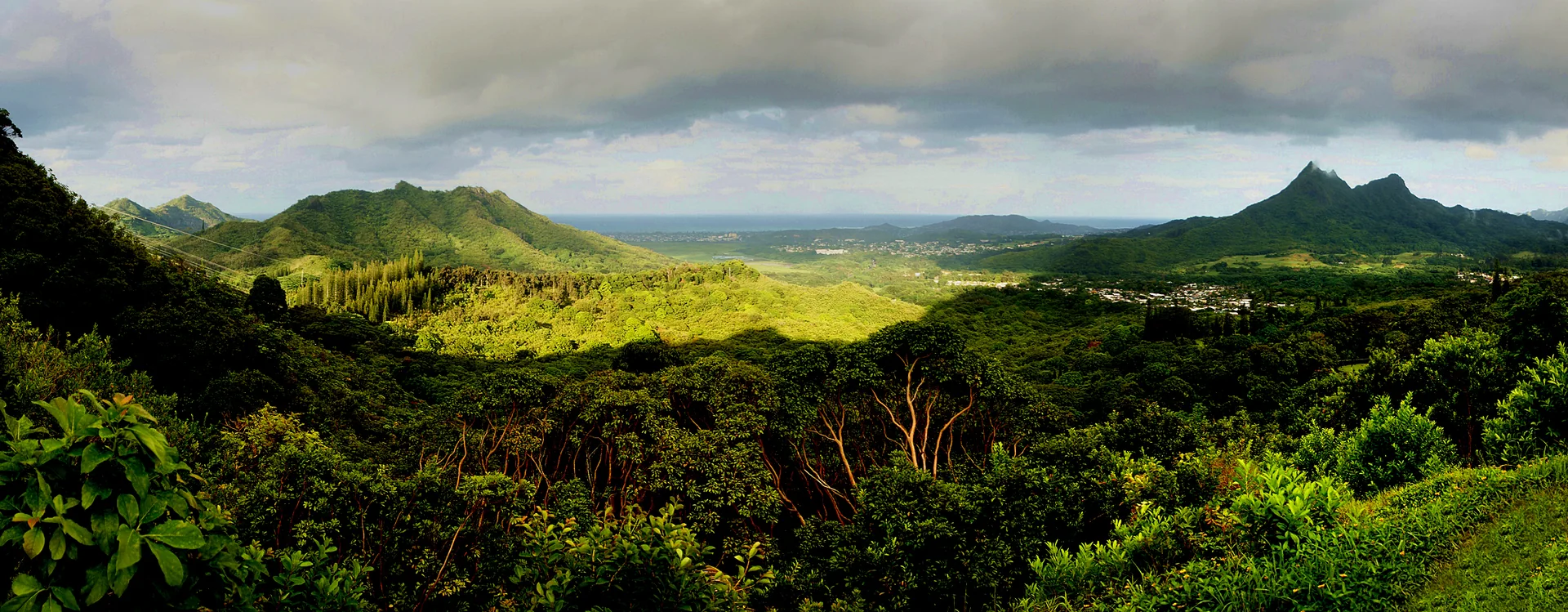 Panorama de encostas verdes e vale em Oʻahu, com cordilheira, vegetação densa e faixa de oceano ao fundo.