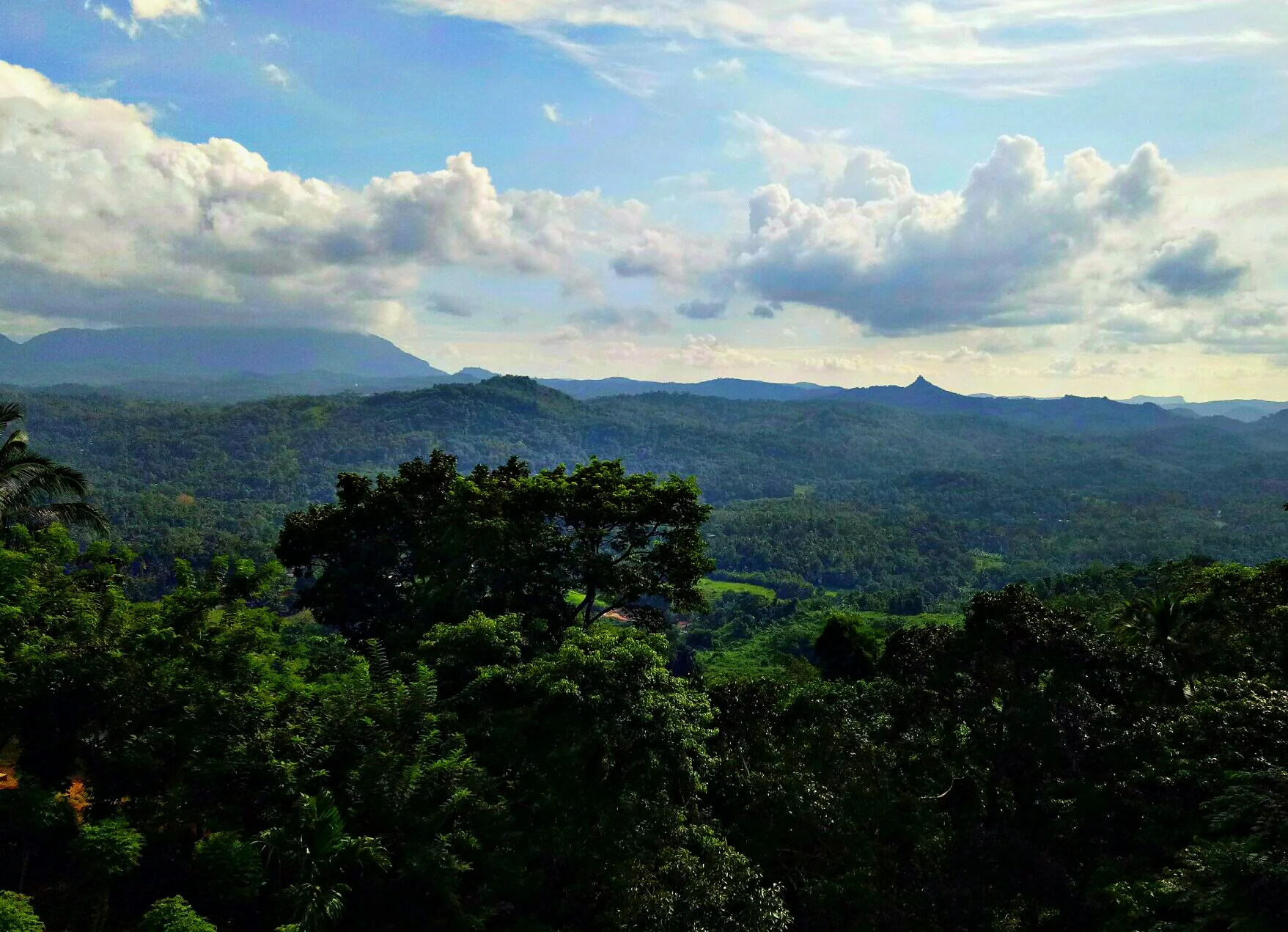 Paisagem de encostas verdes nos arredores de Kandy, registrada a partir de um trem.