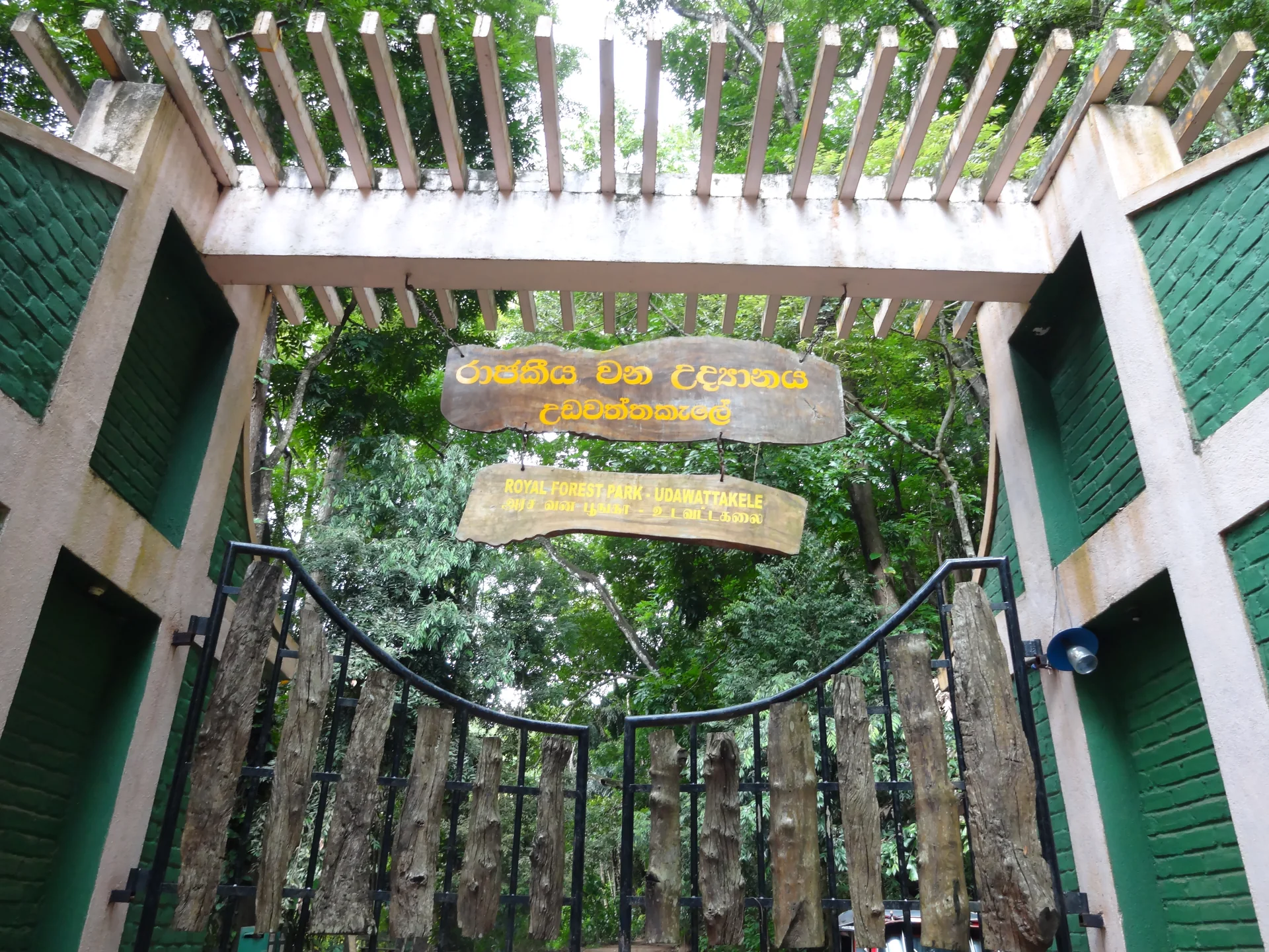 Entrada arborizada do Santuário Udawatta Kele, em Kandy, com trilha entre árvores.