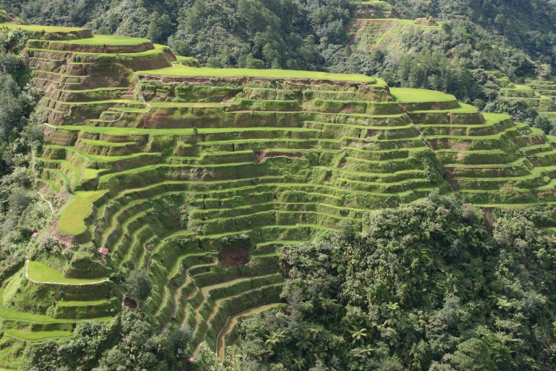 Terraços de arroz verdes recortam a encosta de Banaue, no norte de Luzon, Filipinas.