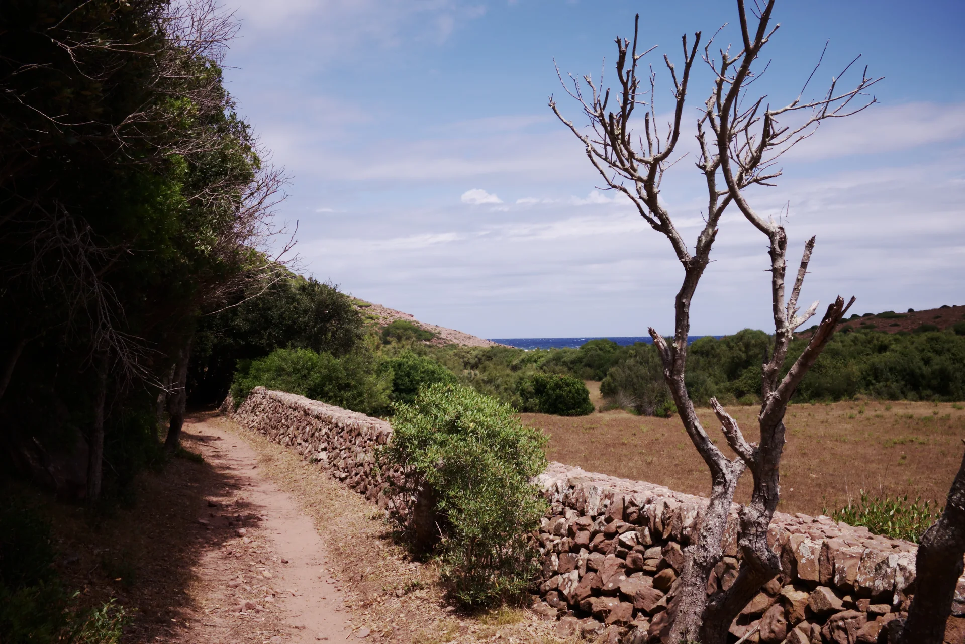 Caminho de terra ao lado de um muro de pedra seca perto de Cala del Pilar, com vegetação mediterrânea e faixa de mar ao fundo.