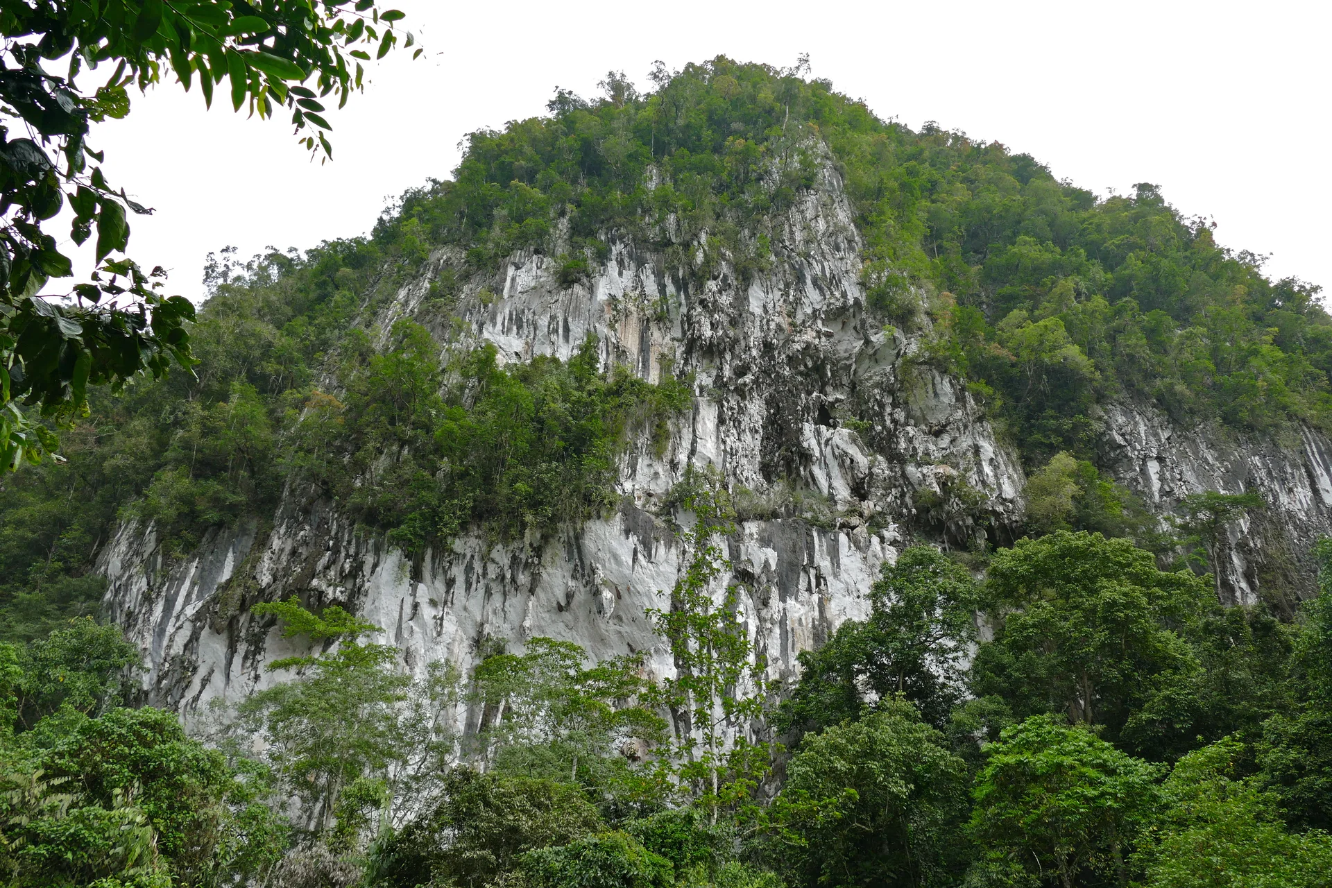 Penhasco de calcário com vegetação densa no Parque Nacional Gunung Mulu, em Sarawak.