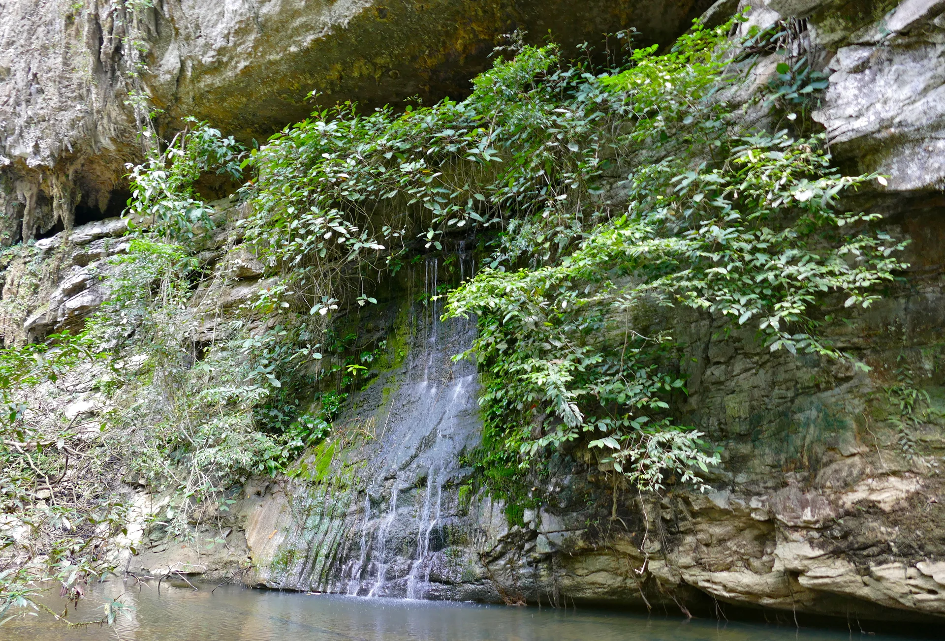 Cachoeira Paku entre rocha e vegetação no Parque Nacional Gunung Mulu, em Sarawak.