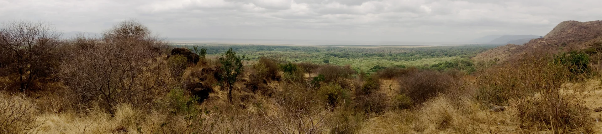 Panorama do Lago Manyara e da vegetação do entorno na Tanzânia.