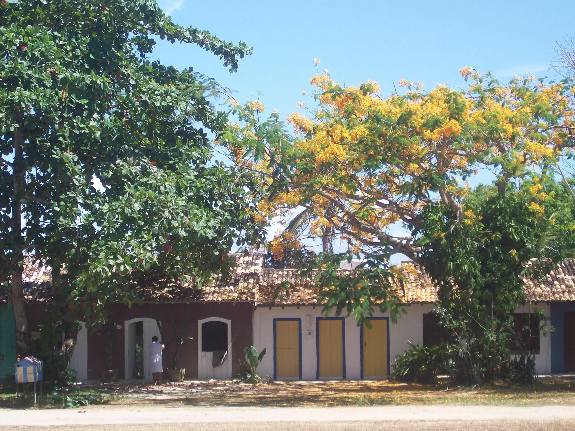 Casas baixas de Trancoso sob árvores e céu claro, em fotografia documental.