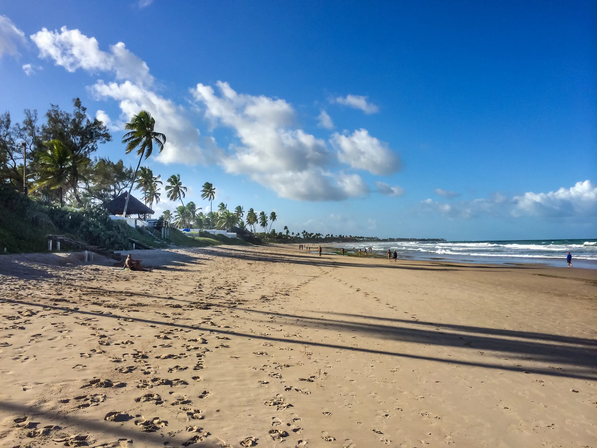 Faixa de areia, coqueiros e mar em Porto de Galinhas, em fotografia de 2014.
