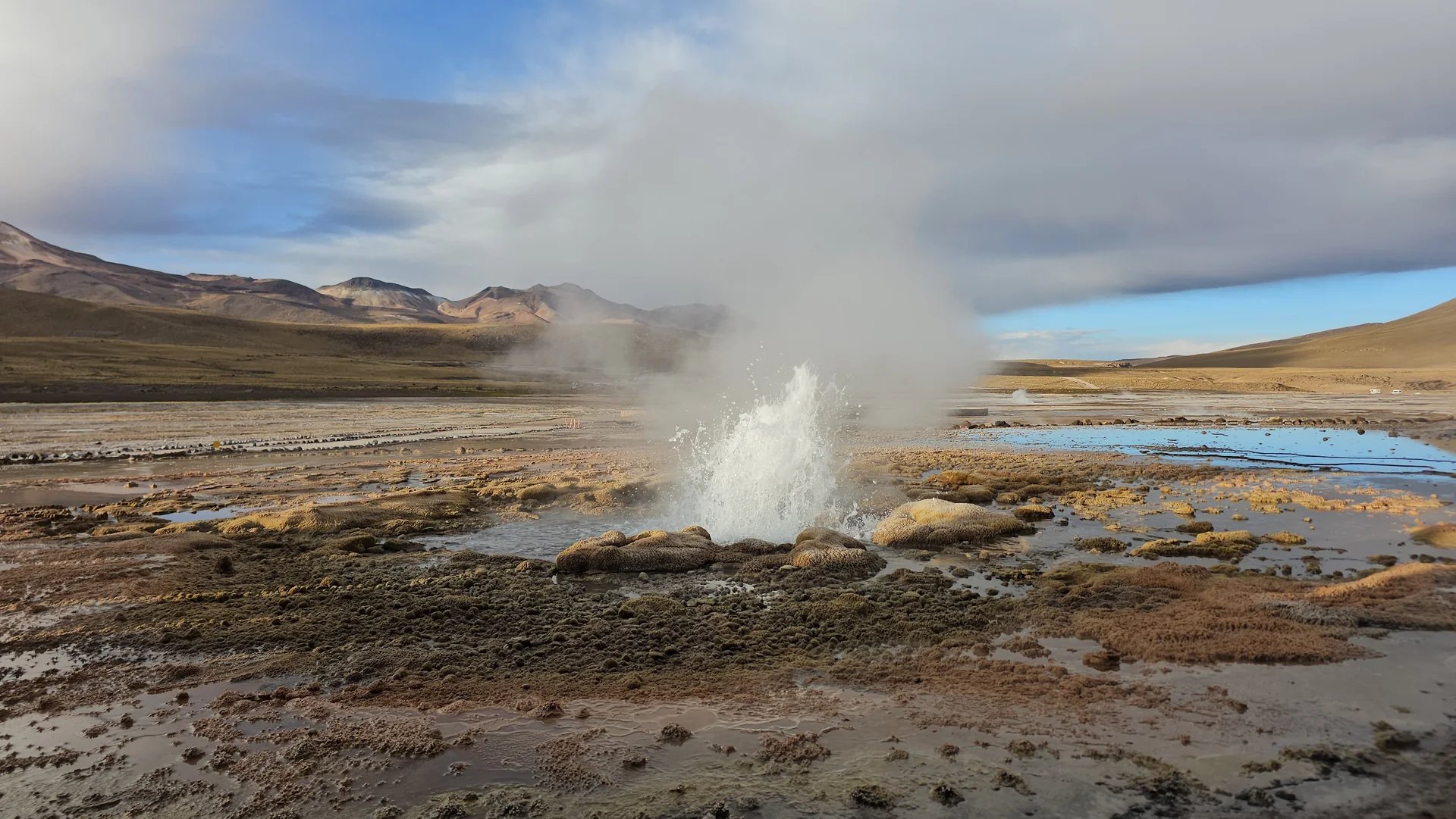 Colunas de vapor dos Gêiseres de El Tatio ao amanhecer, com montanhas do altiplano chileno e céu claro ao fundo.